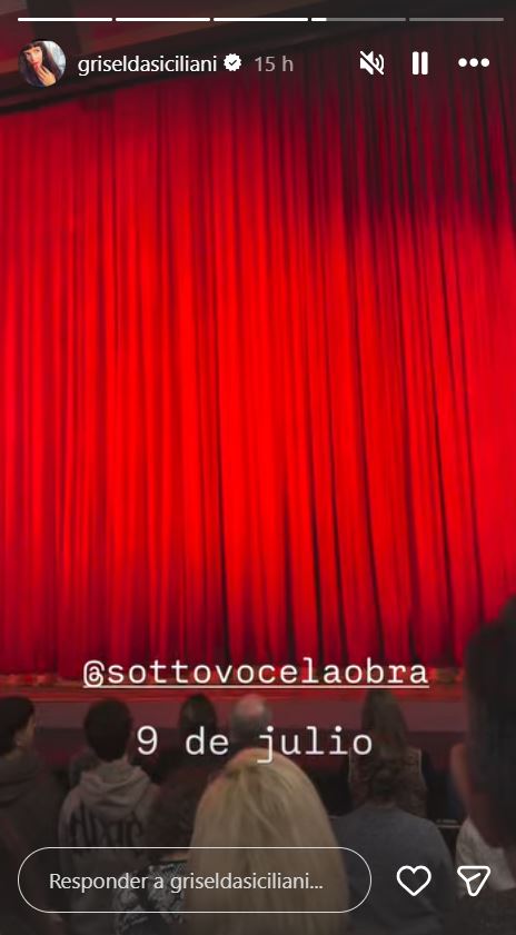 Foto desde el teatro, compartida en las historias de Instagram de Griselda Siciliani | Fuente: Instagram/griseldasiciliani
