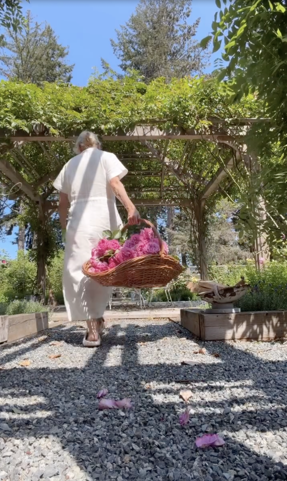 Pamela Anderson pasea por un sendero de grava en el jardín, bajo una pérgola de madera cubierta de enredaderas en Arcady, llevando una cesta de mimbre repleta de rosas rosas recién cortadas. Vestida con un vestido blanco de lino muy ligero y unas sandalias de jardín, vuelve hacia la casa después de recoger flores de los cientos de rosales que hay plantados por toda su extensa finca. | Fuente: Instagram/pamelaanderson