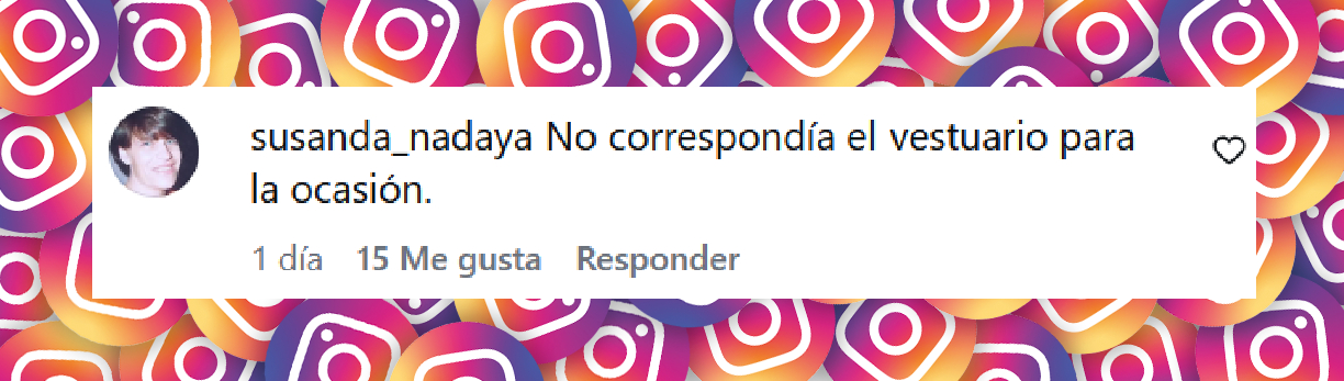 Comentario de una usuaria sobre el vestuario de Virginia Gallardo para jurar en el Congreso | Fuente: Instagram/virchugallardo