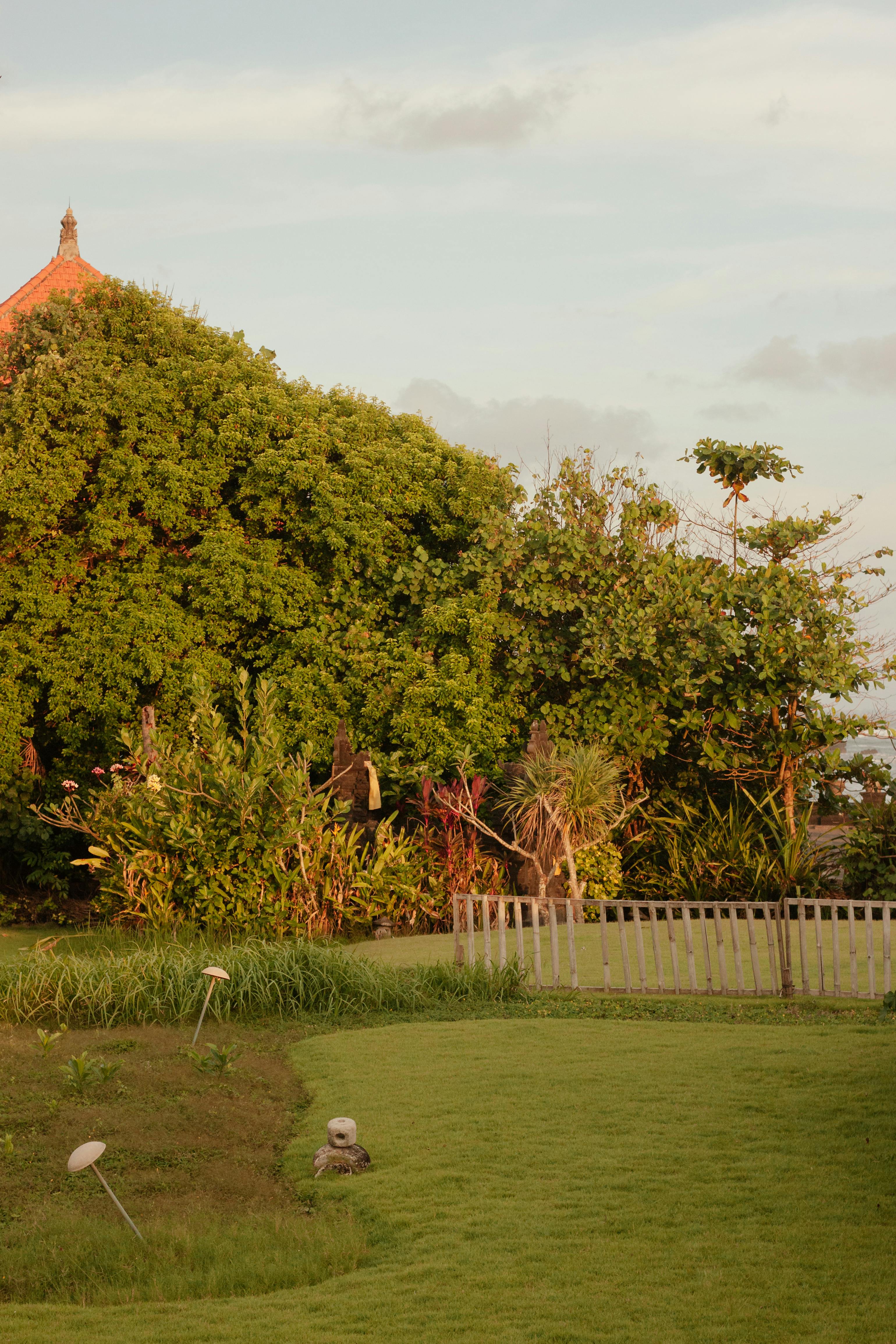 Gran jardín campestre con césped y hierba ornamental | Fuente: Pexels