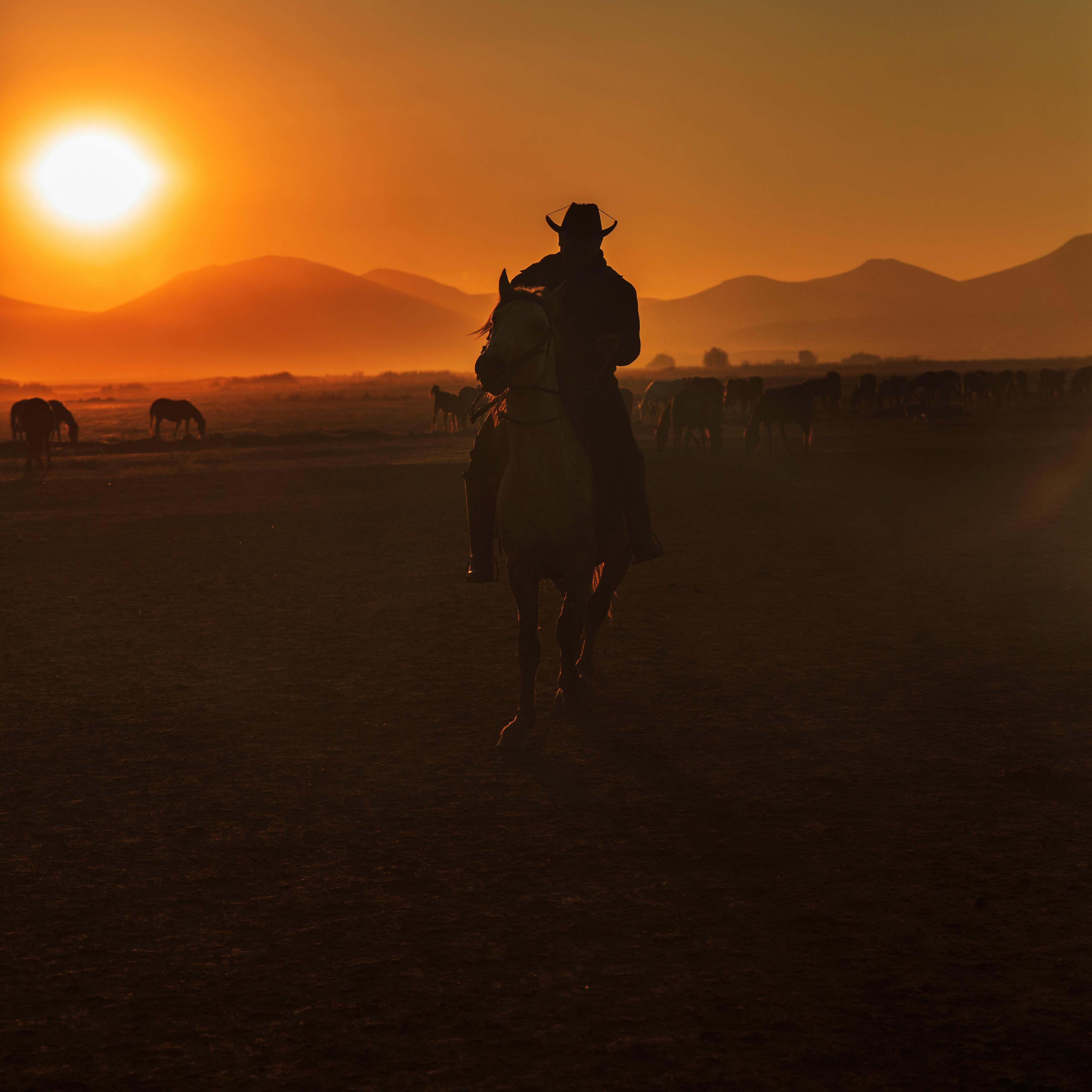 Un vaquero cabalgando al atardecer | Fuente: Pexels