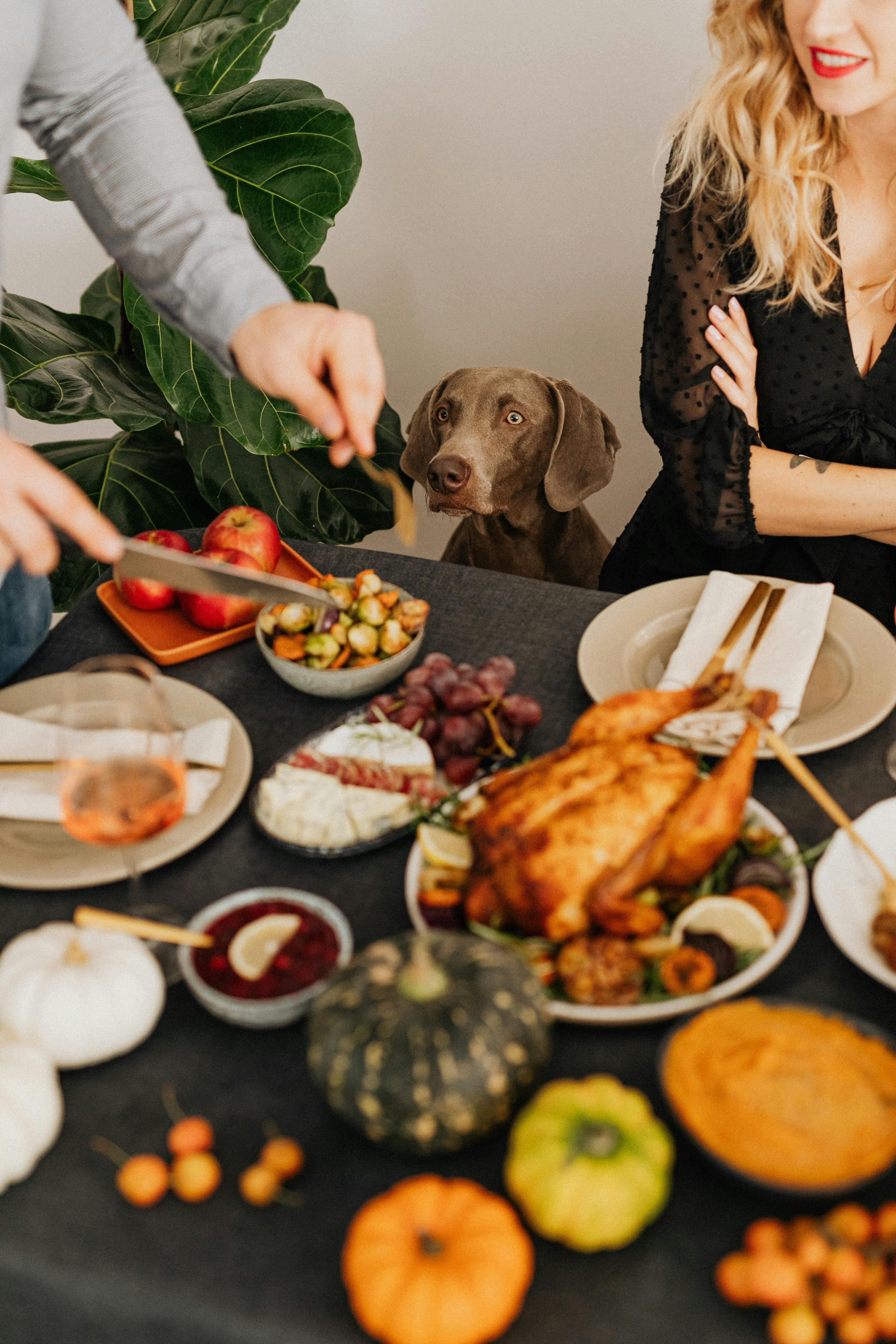 Un hombre tomando más comida mientras una mujer y un perro le observan | Fuente: Pexels