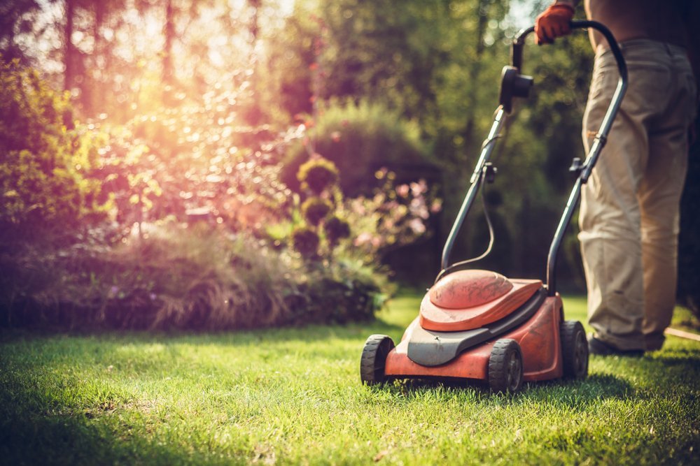 Hombre podando césped. | Foto: Shutterstock