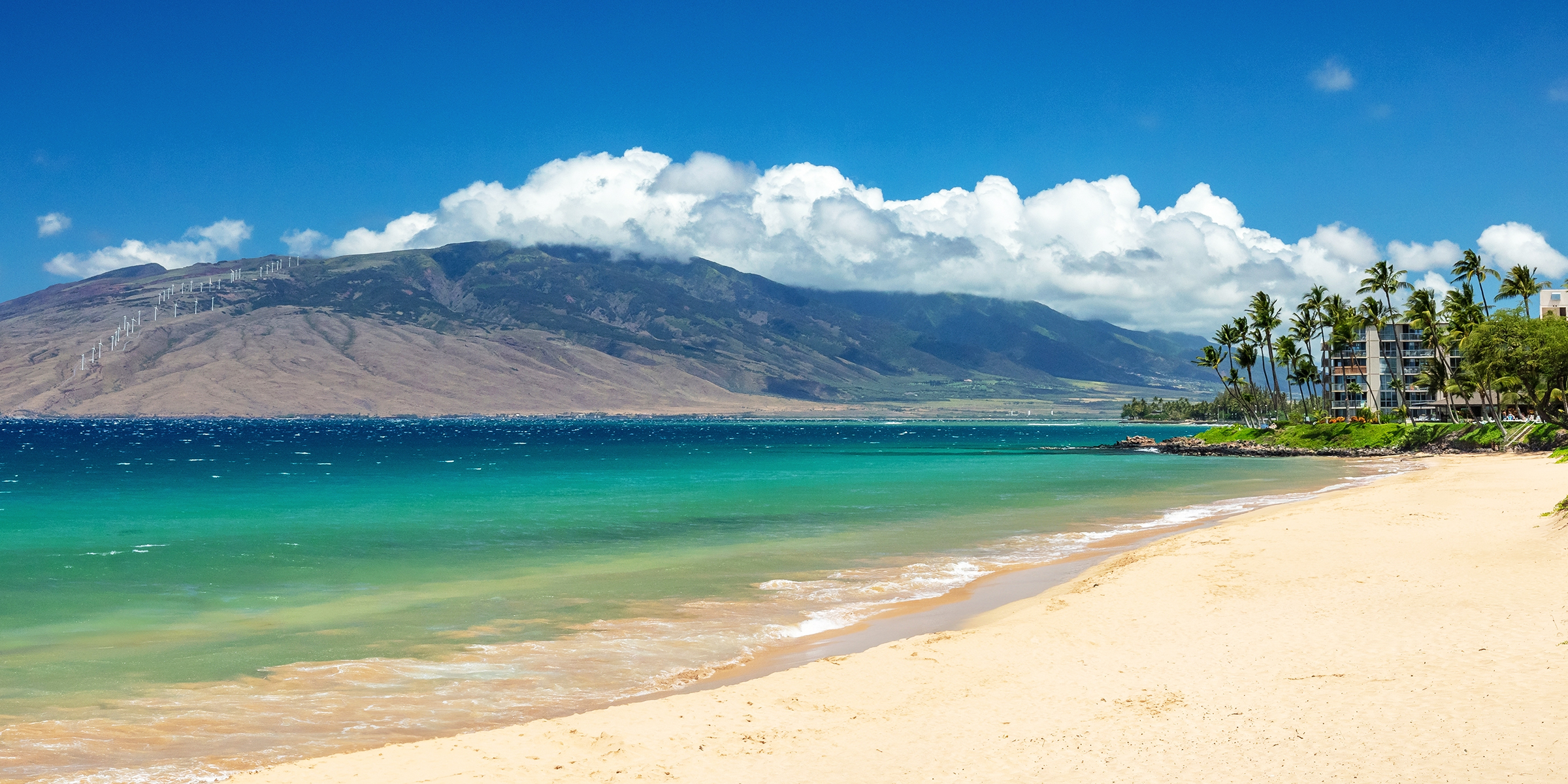 Una hermosa playa de arena blanca | Fuente: Shutterstock