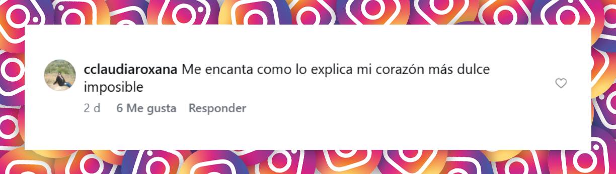 Comentario de una usuaria | Fuente: Instagram/micaviciconte