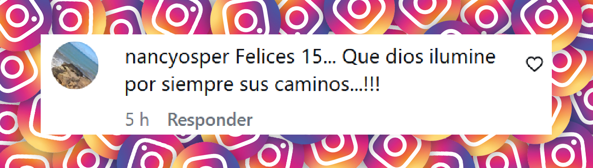 Comentario de una usuaria por el cumpleaños número 15 de Paul e Isabella, los hijos mellizos de Flor de la V | Fuente: Instagram/flordelave