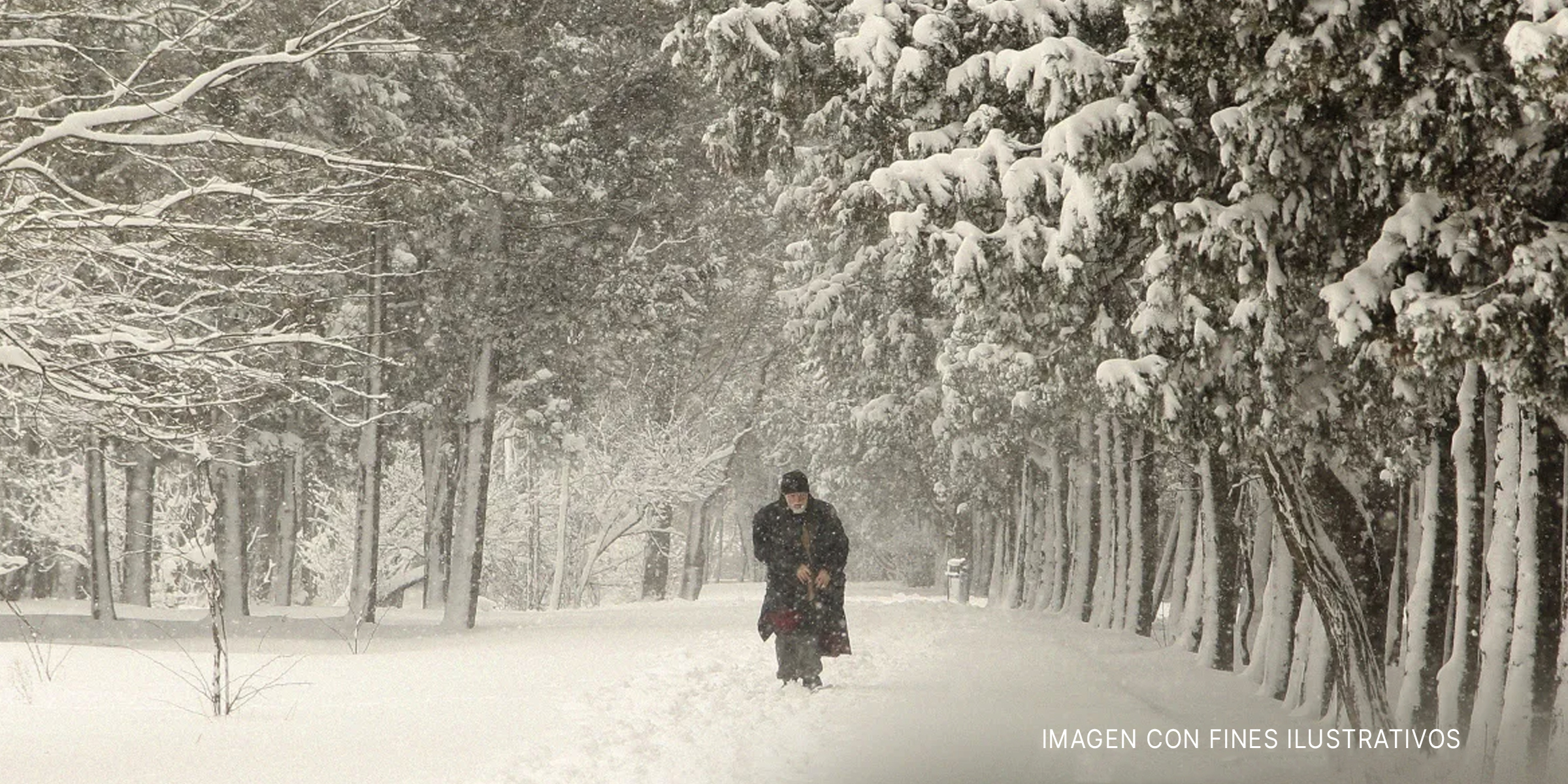Hombre caminando en la nieve entre árboles. | Foto: Getty Images
