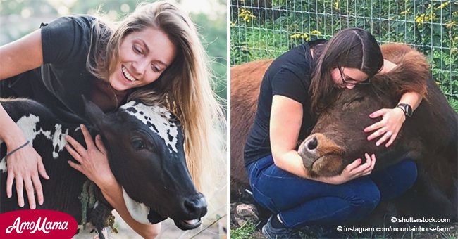 Millennials descubren la agricultura: pagan hasta $300 por frotar vacas durante hora y media