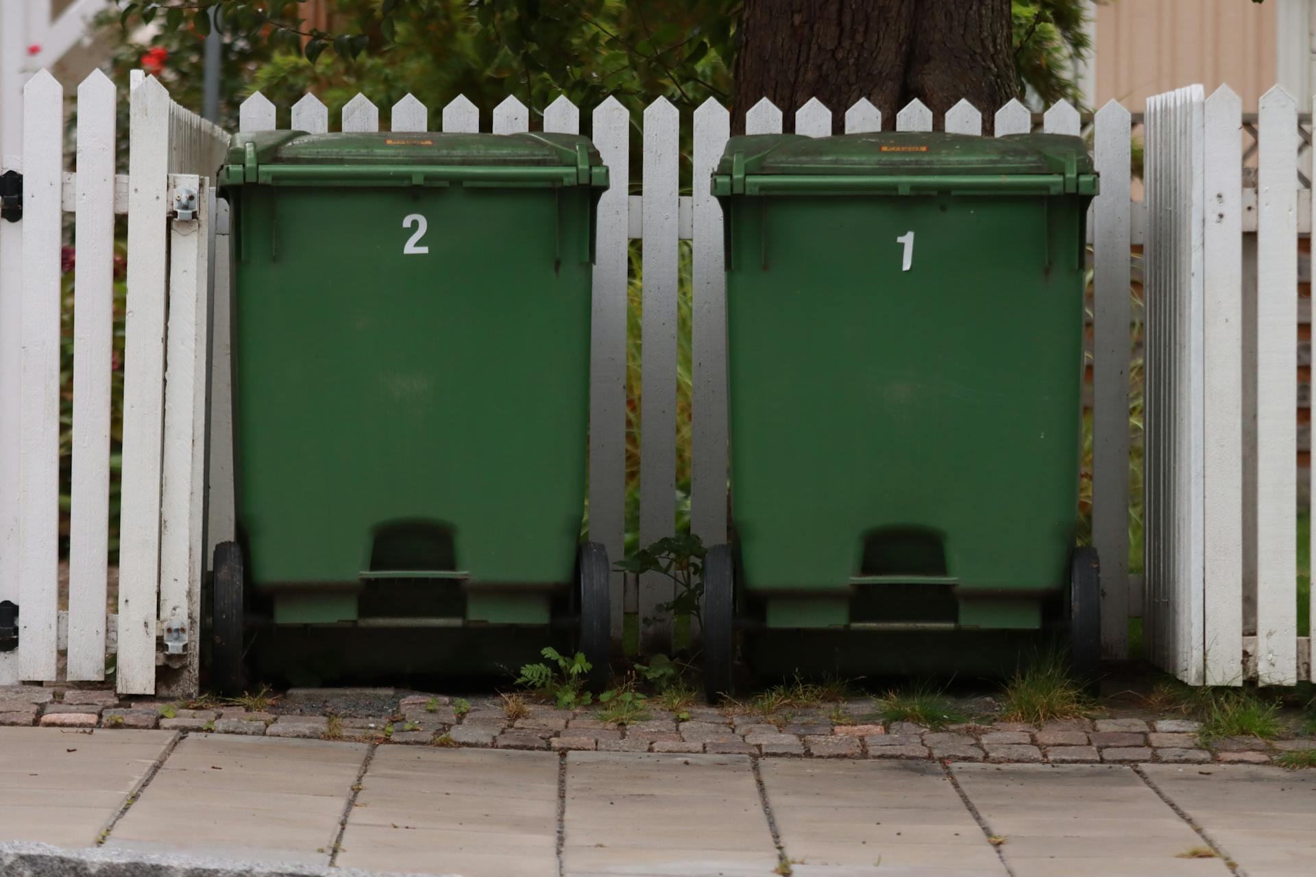 Cubos de basura | Fuente: Pexels