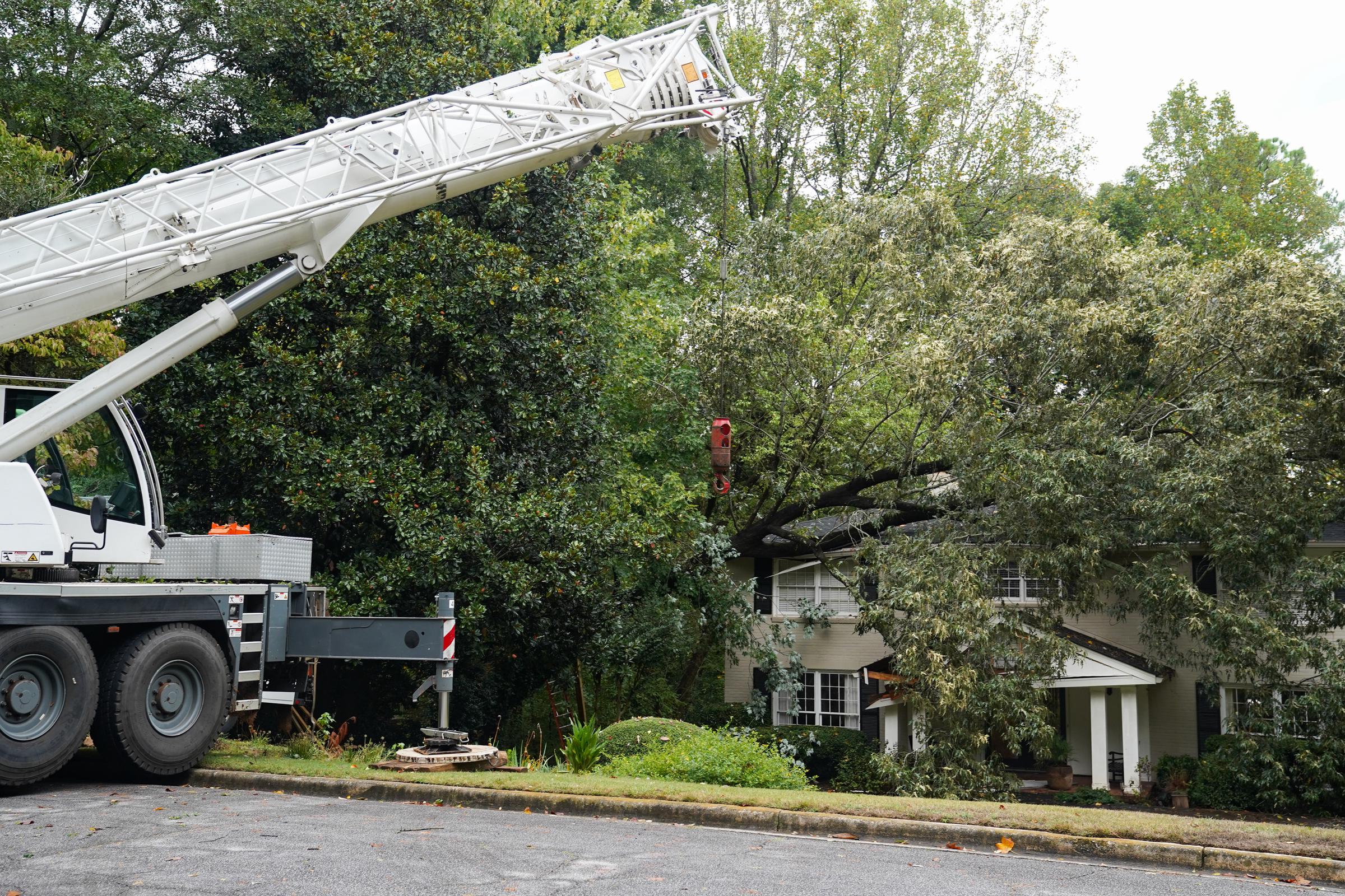 Un equipo de arbolistas trabajando para retirar un árbol de una casa en Buckhead después de que el huracán Helene provocara fuertes lluvias durante la noche en Atlanta, Georgia, el 27 de septiembre de 2024 | Fuente: Getty Images