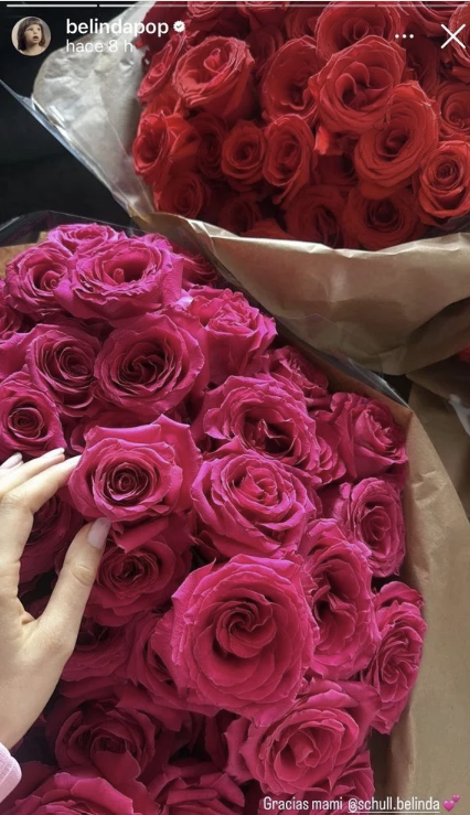Belinda mostró las flores que recibió en su cumpleaños | Fuente: Instagram Stories/belindapop