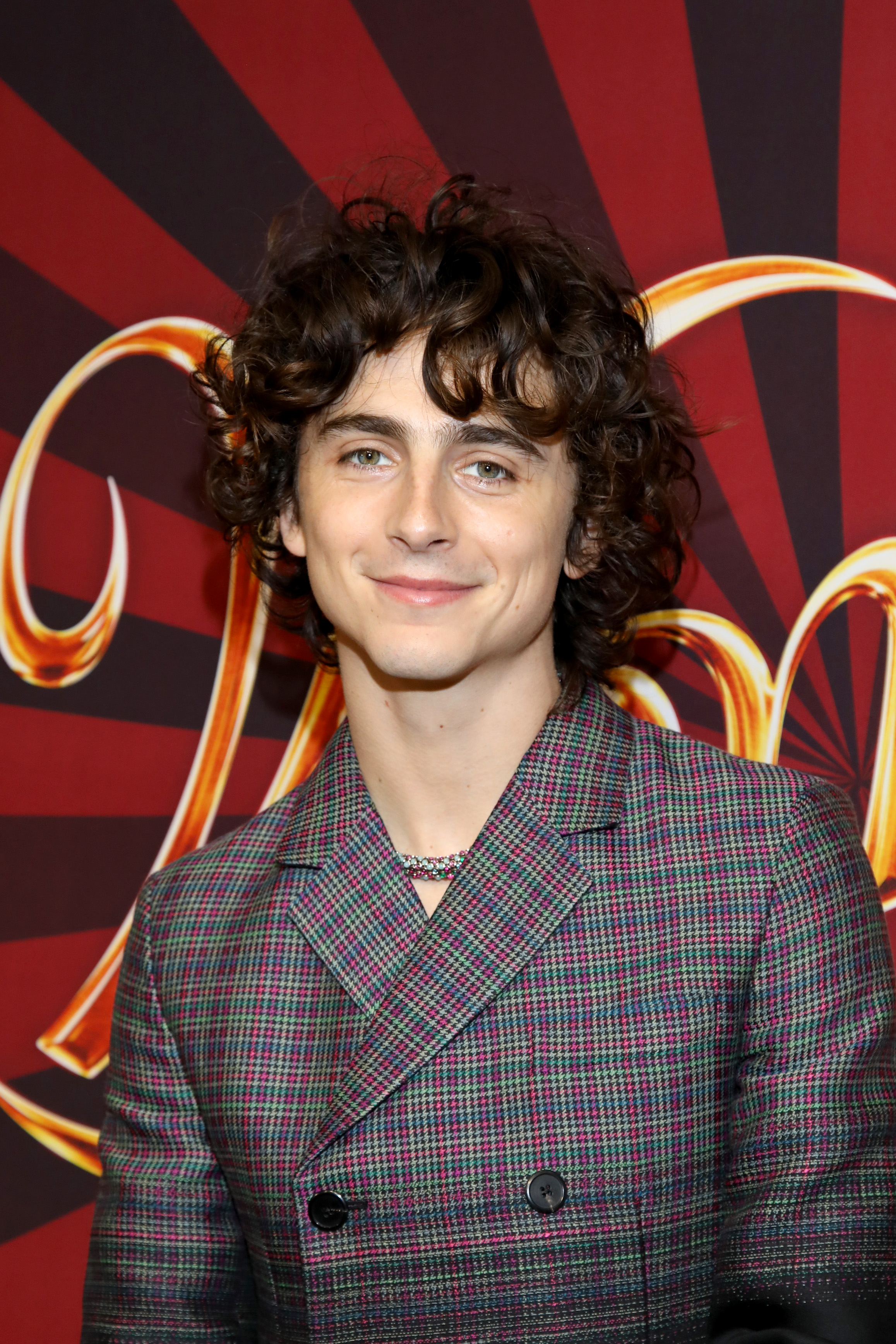 Timothée Chalamet asiste a la proyección para fans canadienses de "Wonka" el 13 de diciembre de 2023 en Toronto, Ontario | Fuente: Getty Images