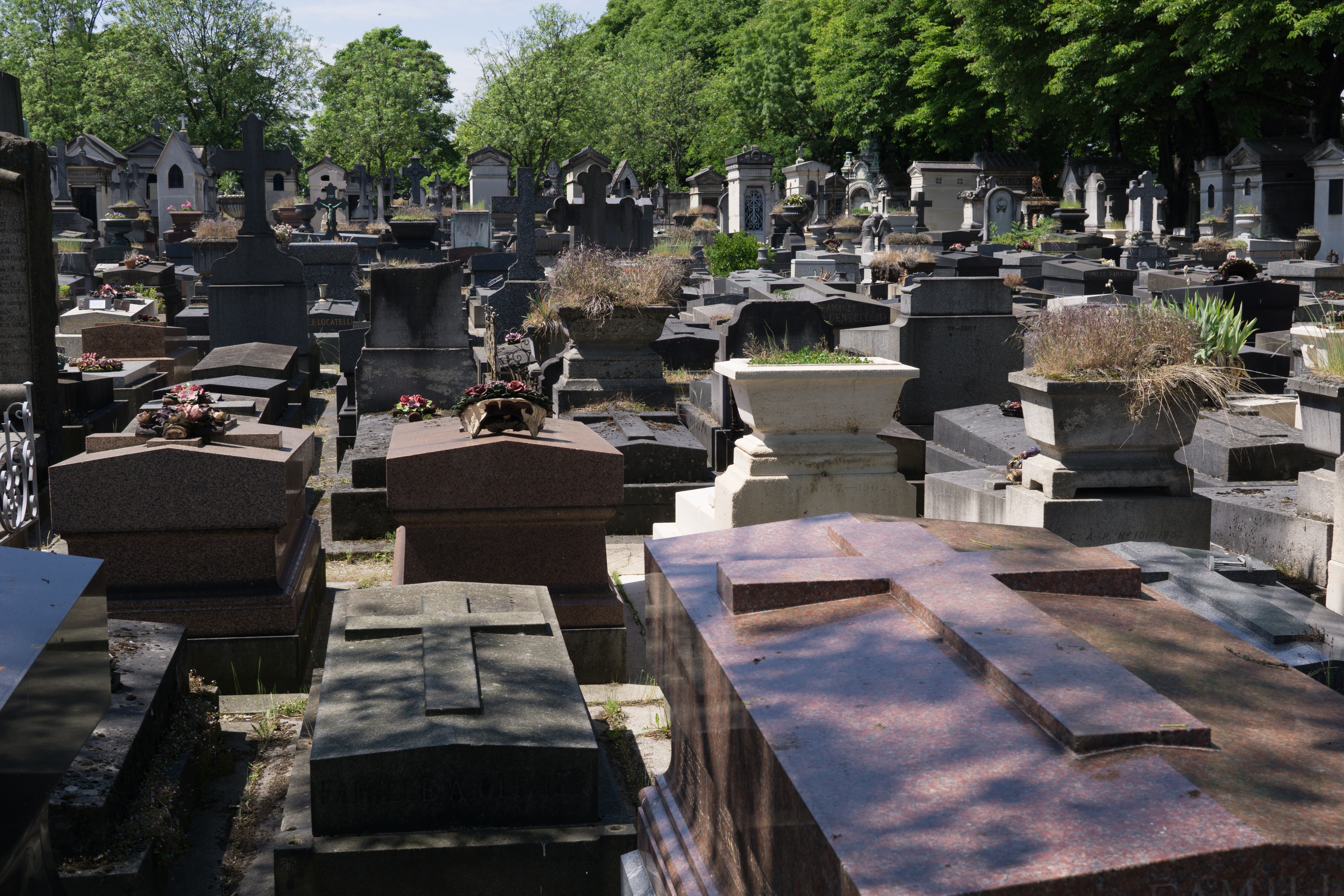Un cementerio | Foto: Shutterstock