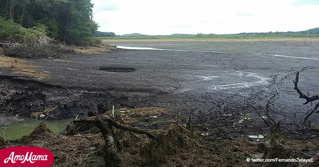 El agua de la hermosa laguna desaparece en 24 horas, poniendo a sus especies en peligro