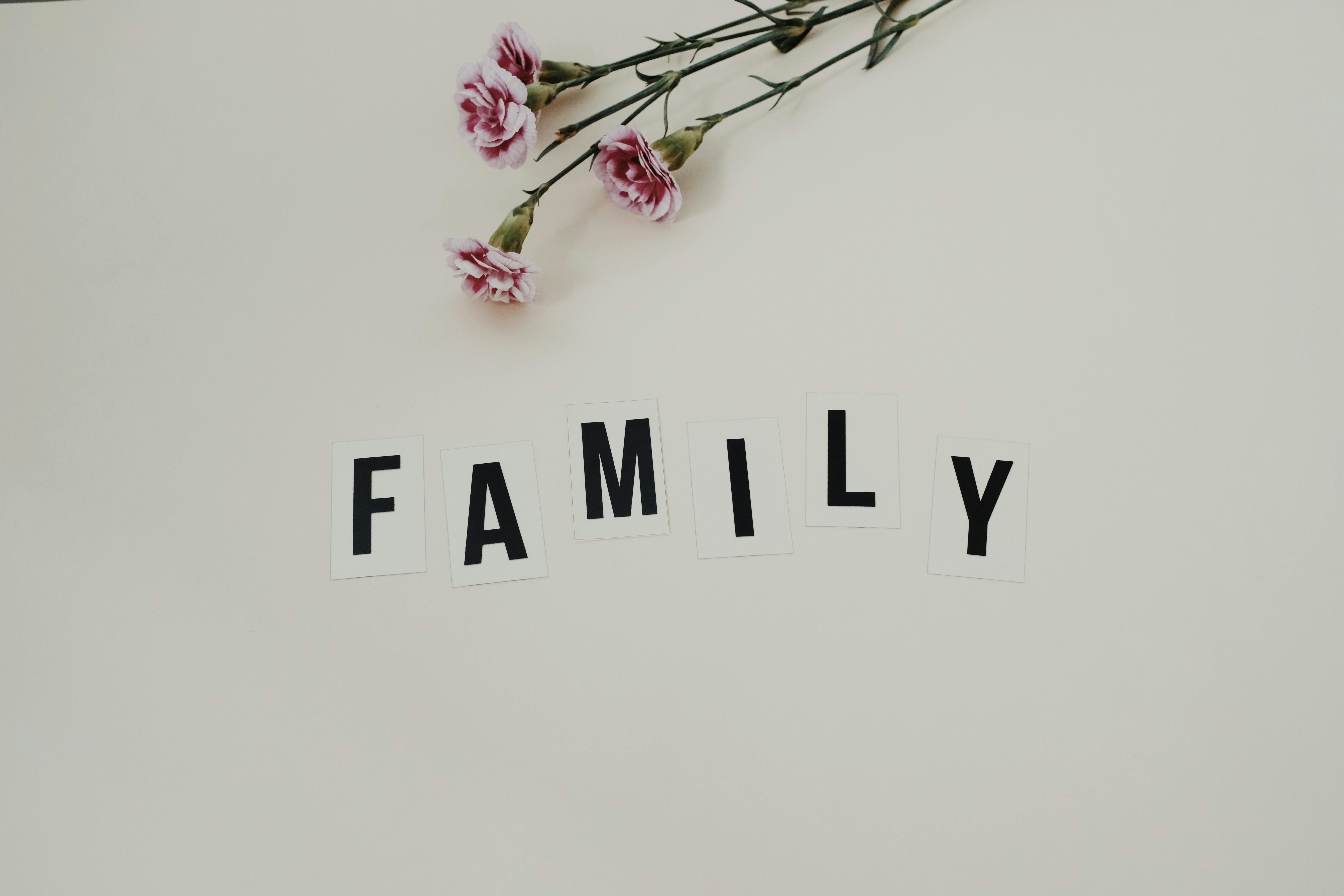 Imagen con fines ilustrativos | Foto: Pexels