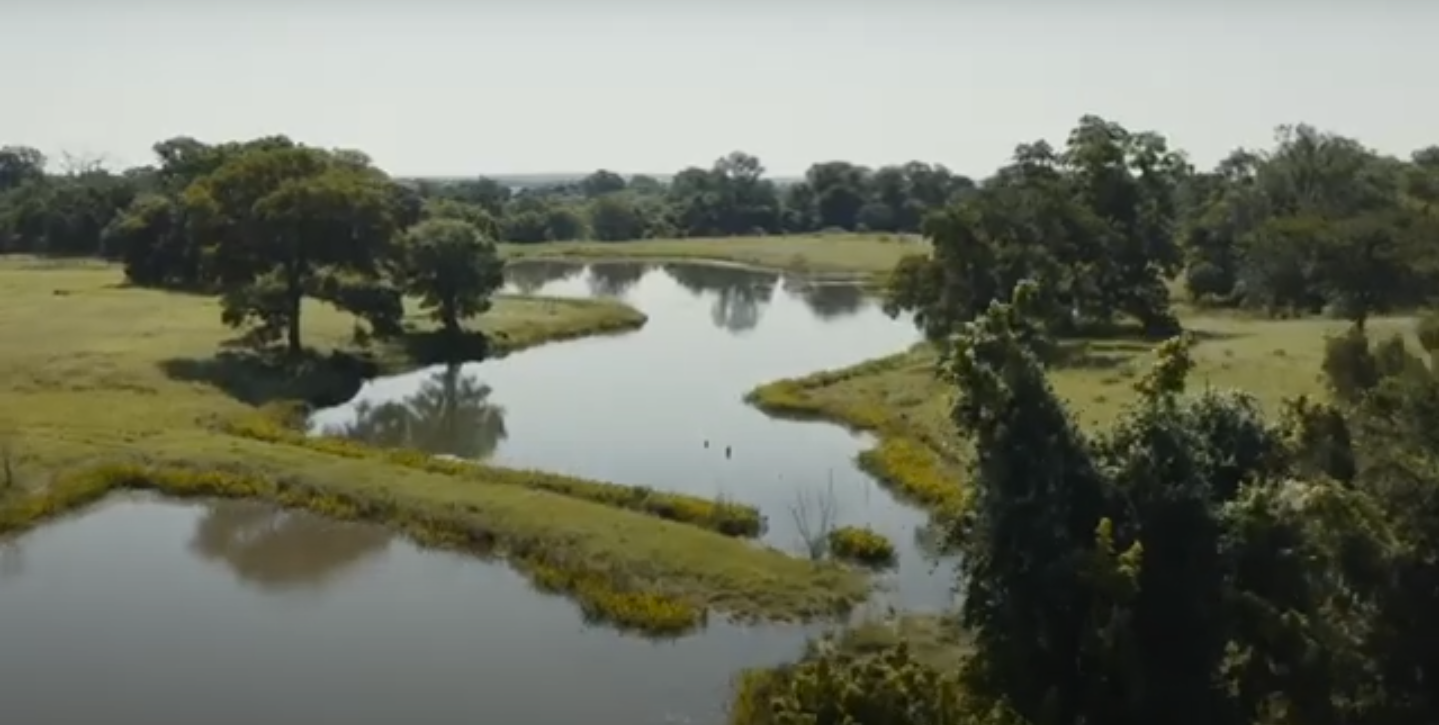 Las tierras de Adrian Grenier | Fuente: YouTube/Earth Speed by Adrian Grenier