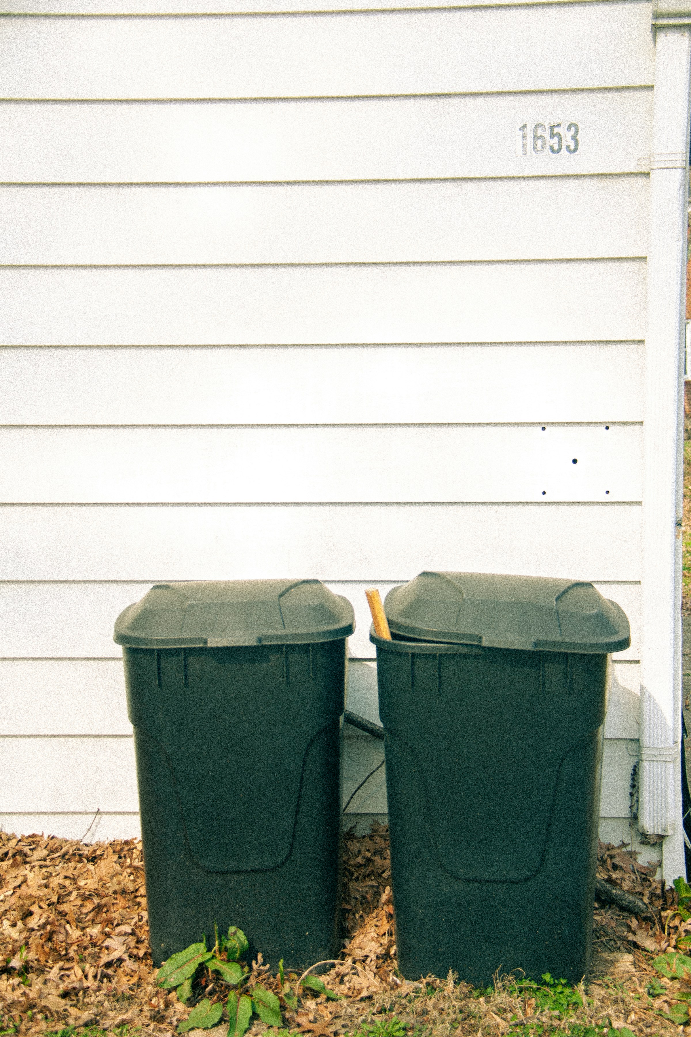 Cubos de basura junto a una casa | Fuente: Unsplash