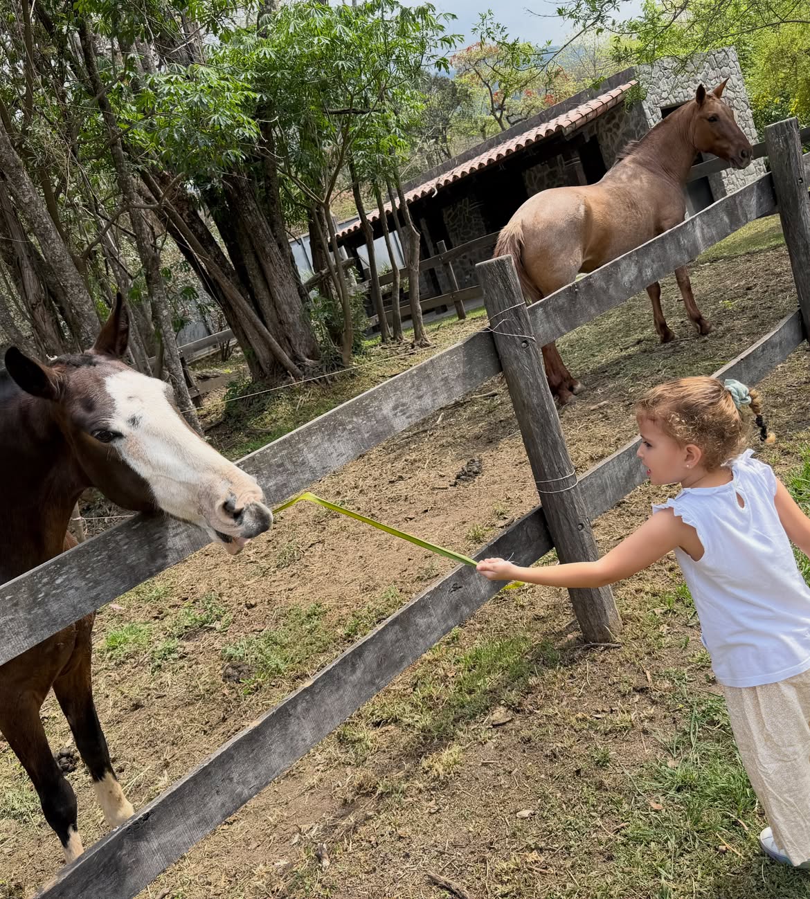 Julia, la hija menor de Isabel Macedo, alimentando a un caballo en una finca | Fuente: Instagram/isabelmacedophoto