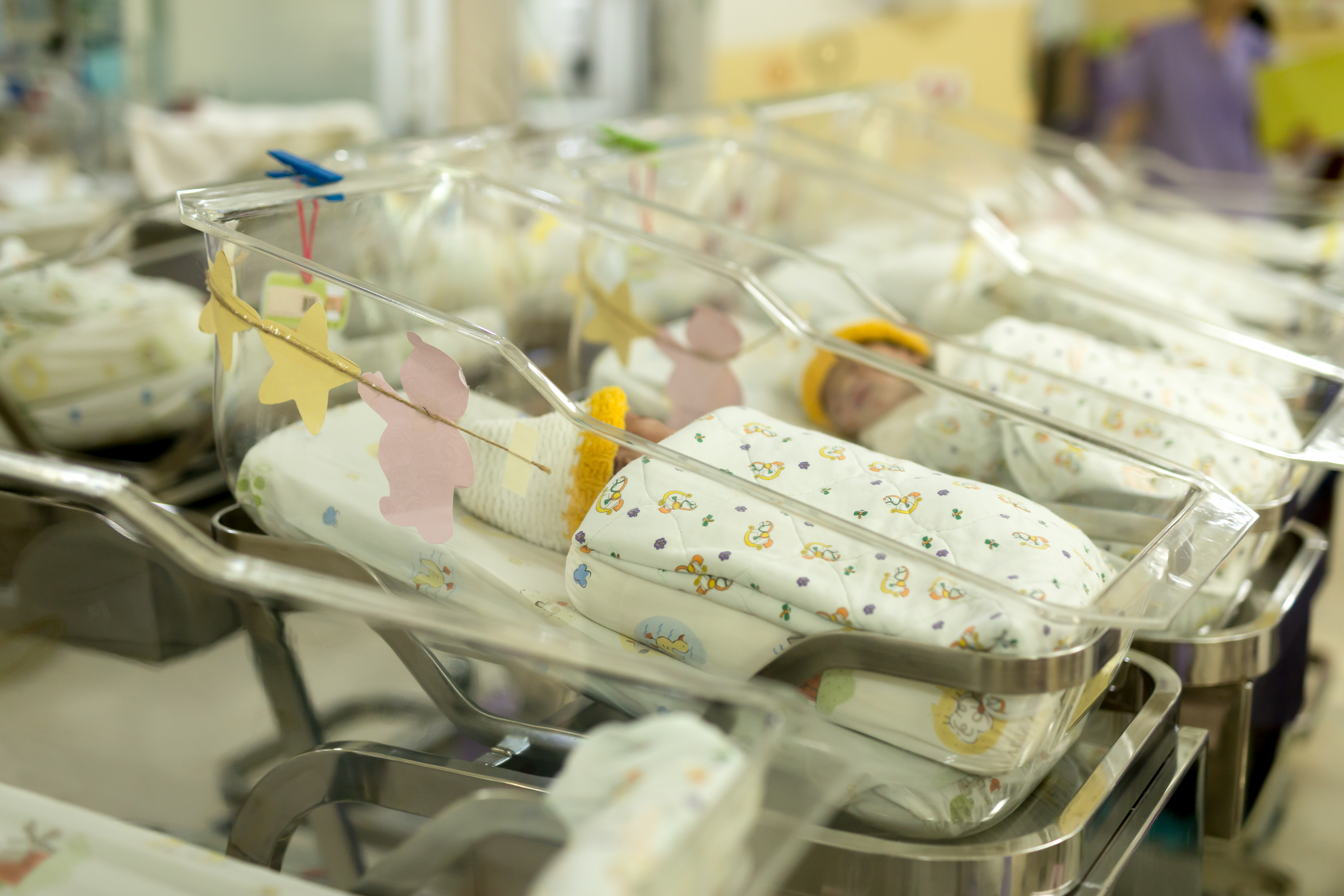 Recién nacidos en la guardería de un hospital | Foto: Shutterstock