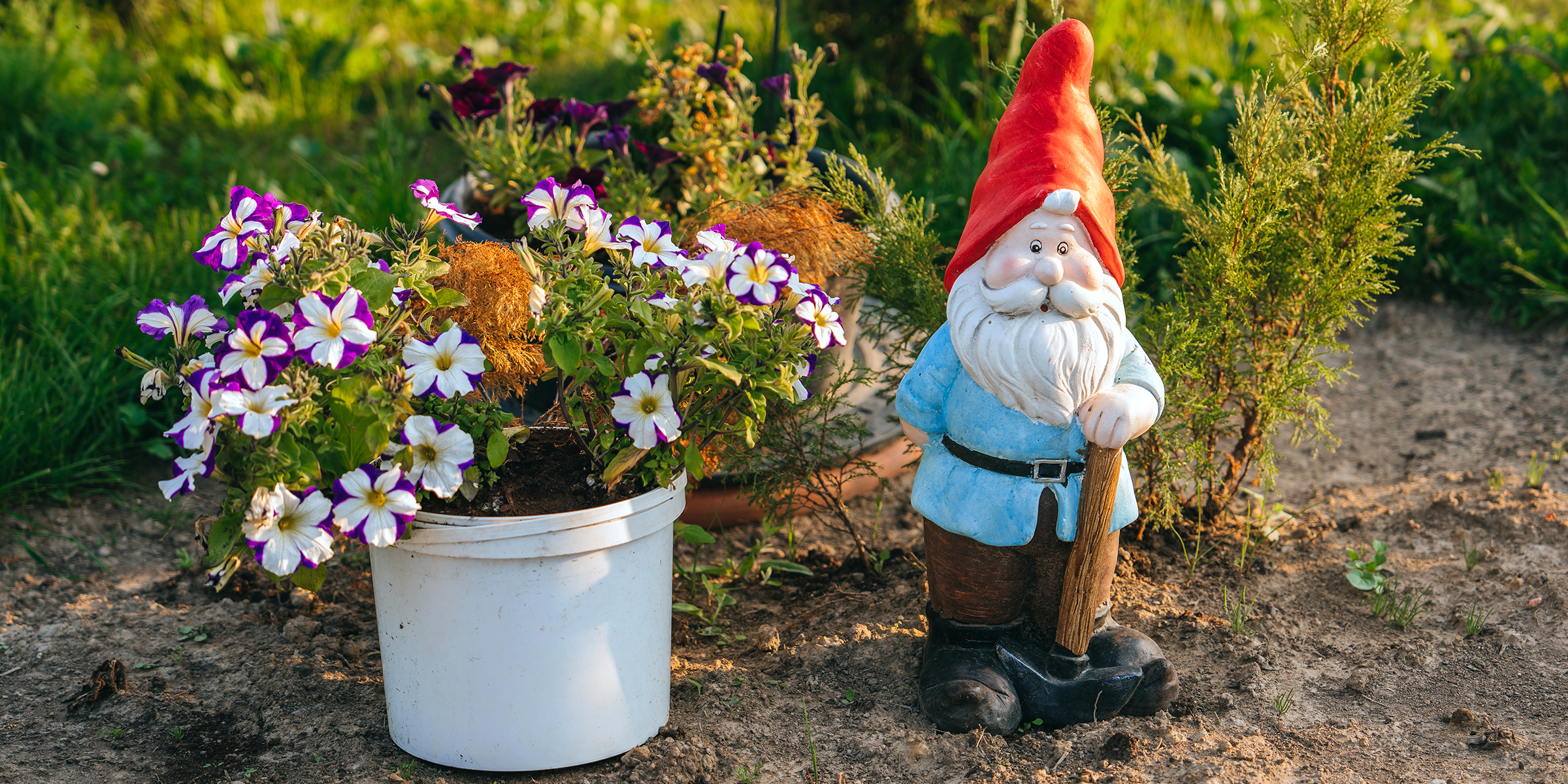 Gnomo de jardín junto a unas flores | Fuente: Shutterstock