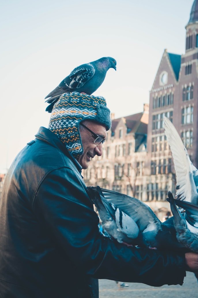 Hombre alimentando a las palomas. | Foto: Unsplash