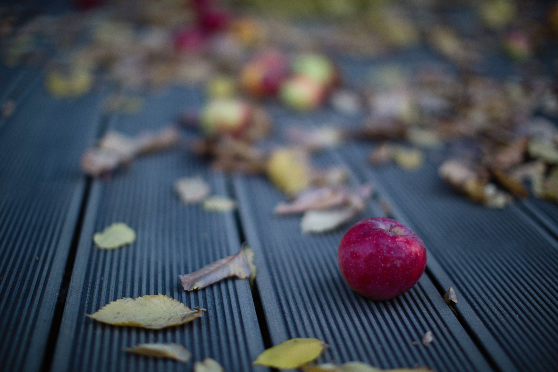 Una manzana | Fuente: Pexels