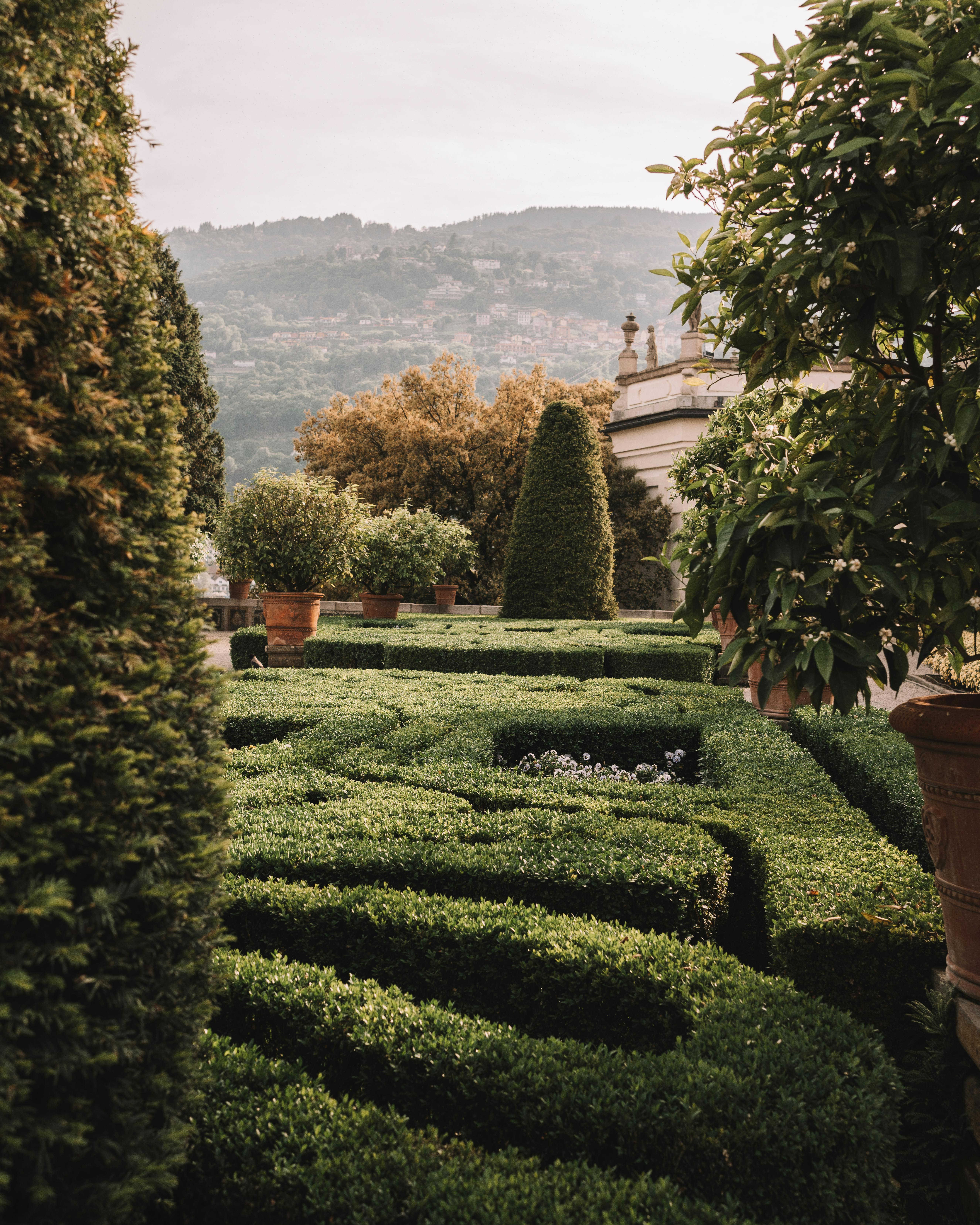 Setos recortados | Fuente: Pexels