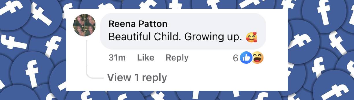 Comentario de un internauta sobre la aparición de Blue Ivy Carter en el estreno de "Mufasa: The Lion King", publicado el 9 de diciembre de 2024 | Fuente: Facebook.com/HollywoodReporter