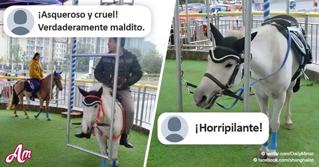 Indignación por carrusel hecho con caballos reales encadenados para que los clientes lo monten