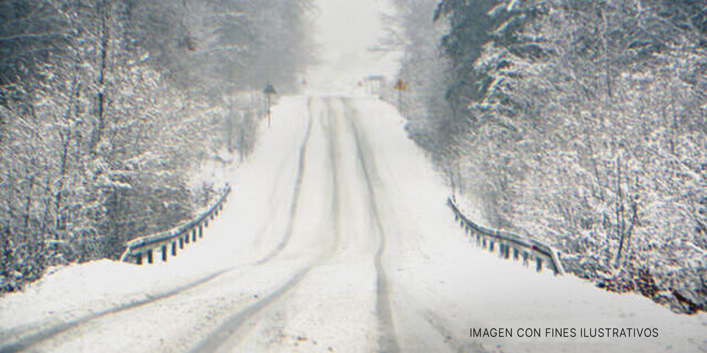Camino nevado que conduce al bosque. | Foto: Shutterstock
