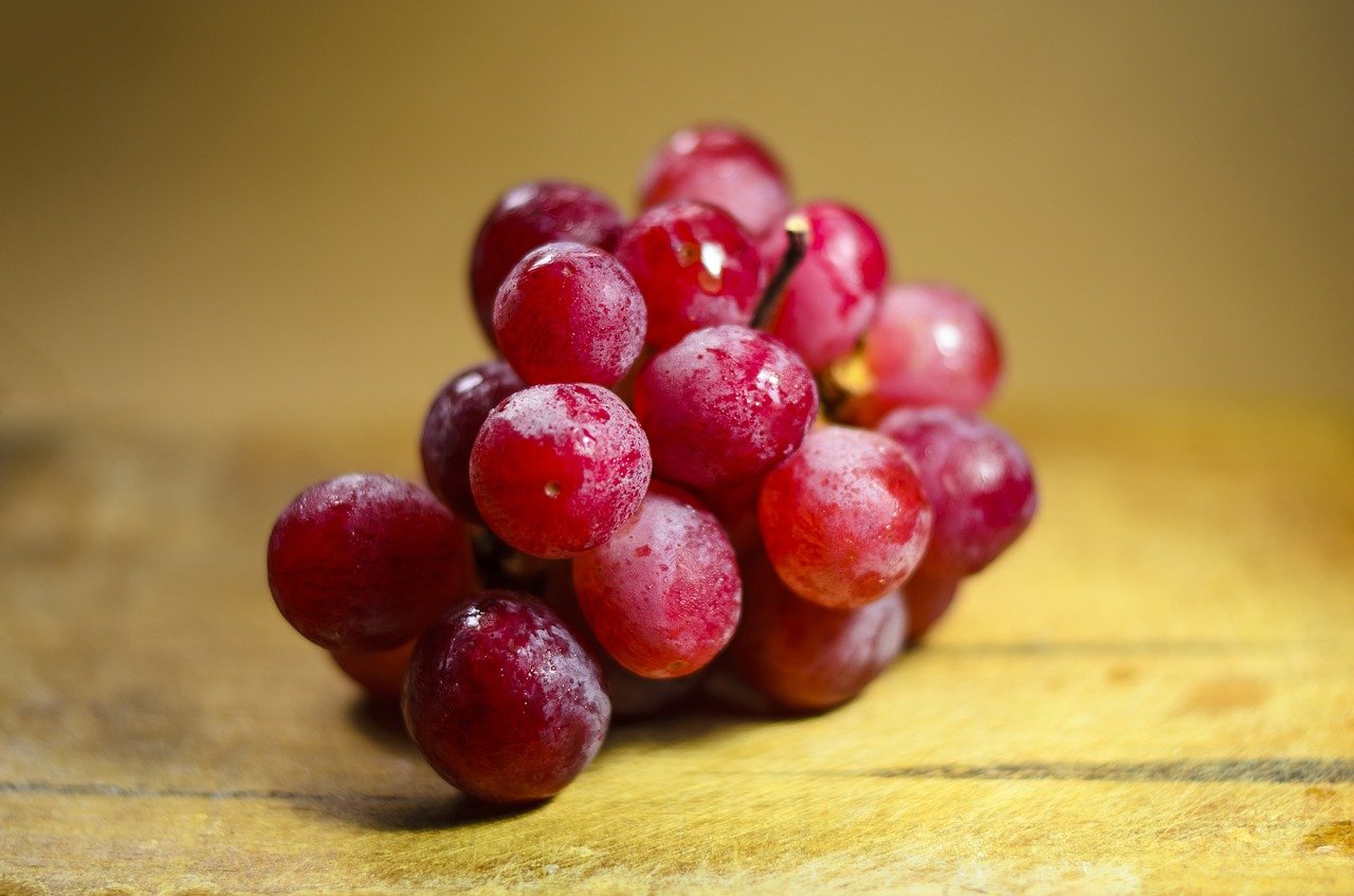 Racimo de uvas. |  Foto: Pixabay