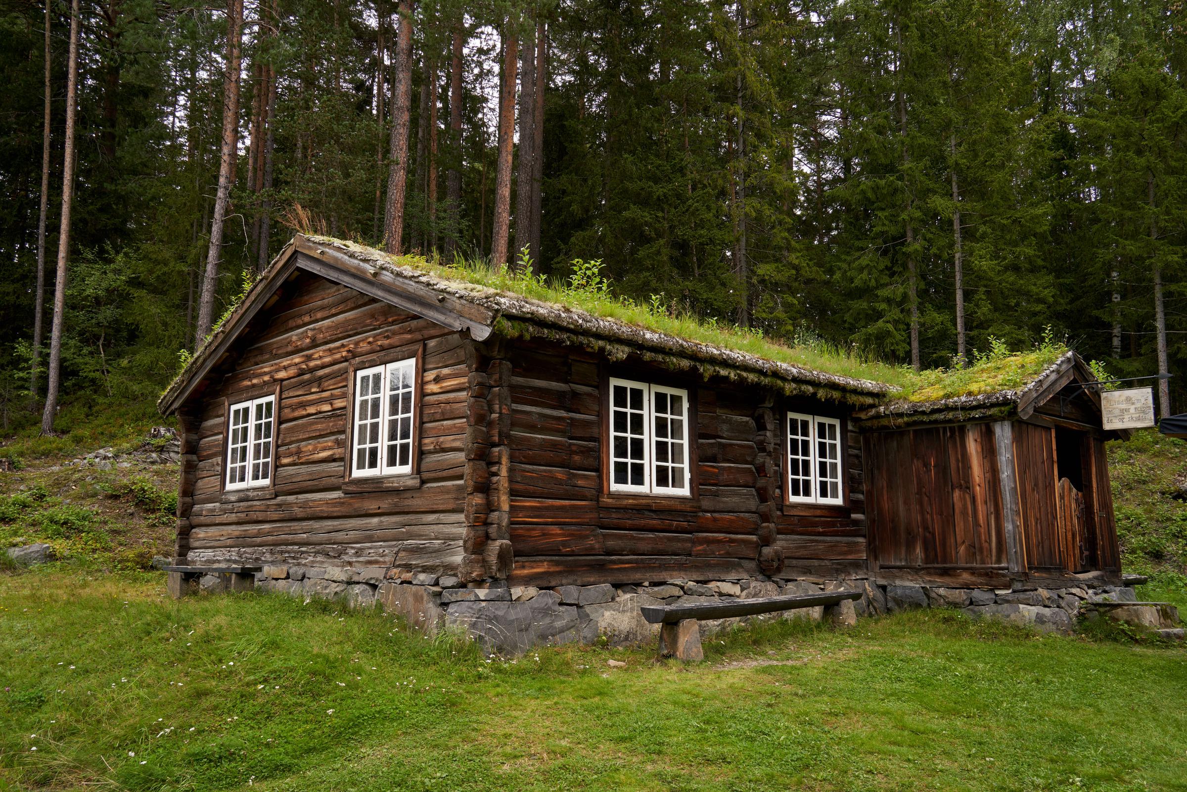 Una cabaña en el bosque | Fuente: Pexels