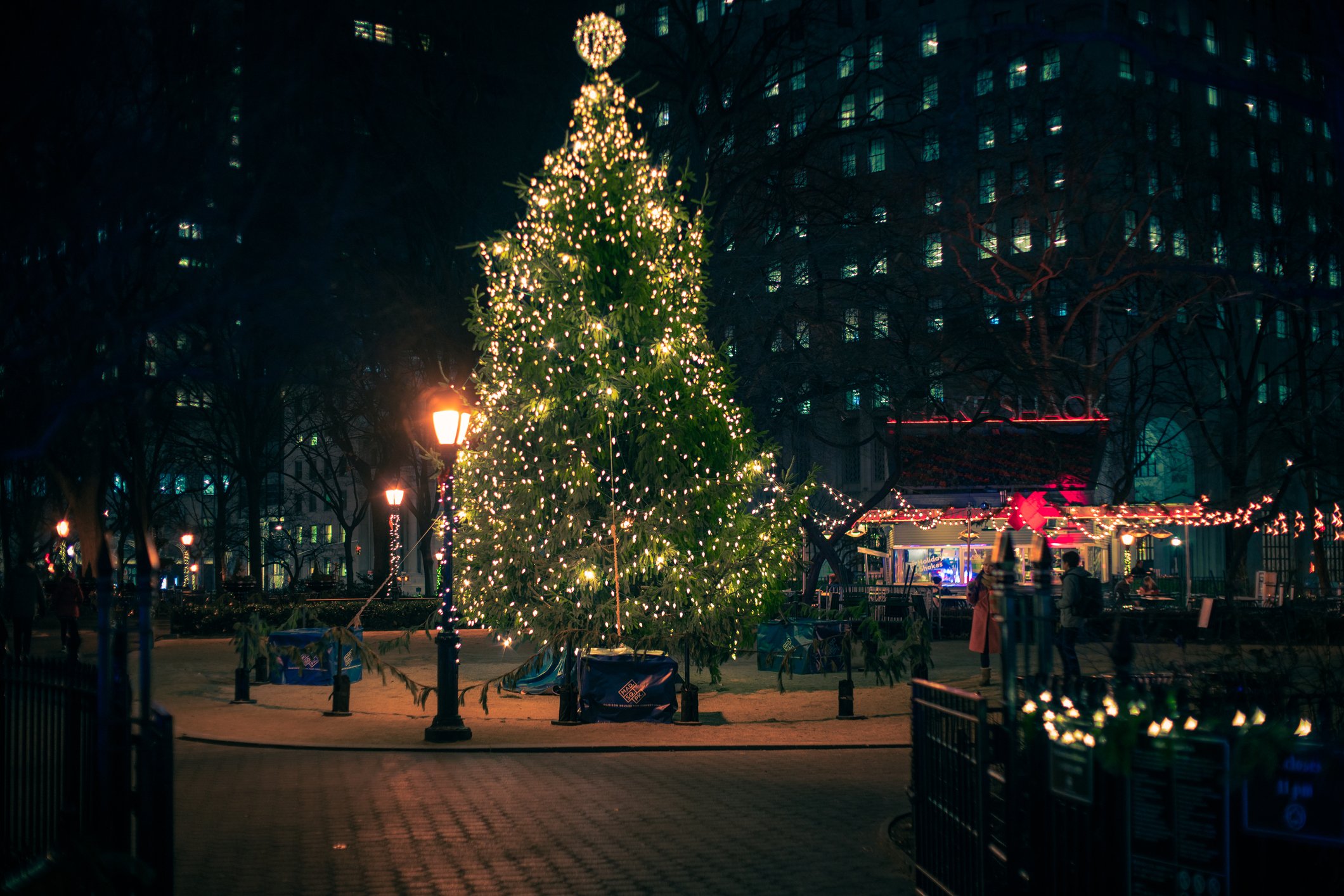 Un árbol de Navidad con luces en exhibición en el Madison Square Park de Manhattan por la noche. | Foto: Getty Images