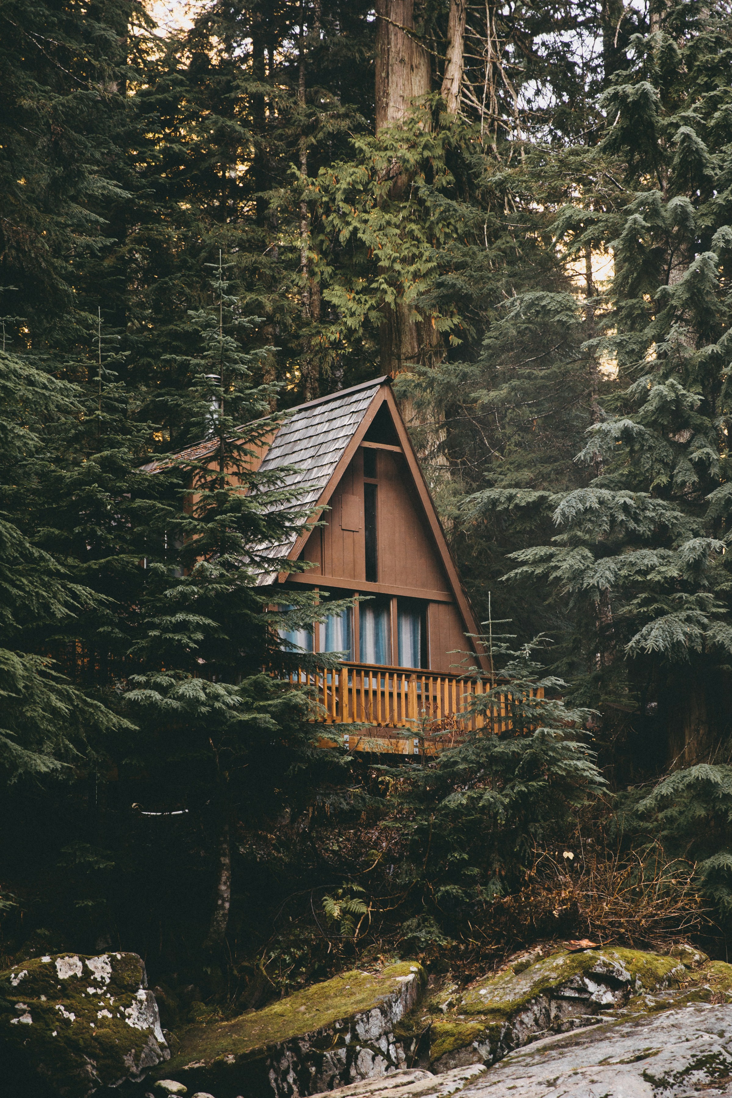 Una cabaña en el bosque | Fuente: Unsplash