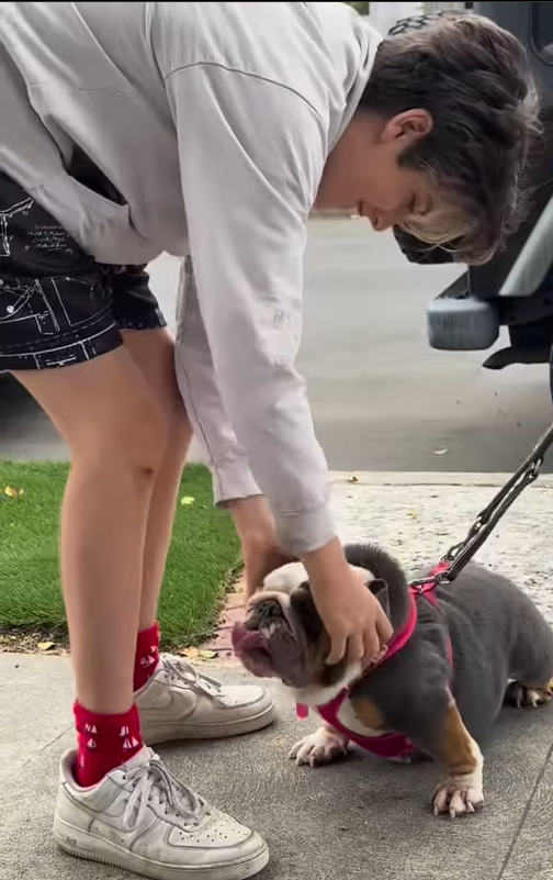 Bear Blu Jarecki cuidando de un perro, fechado el 29 de mayo de 2024 | Fuente: Instagram/aliciasilverstone