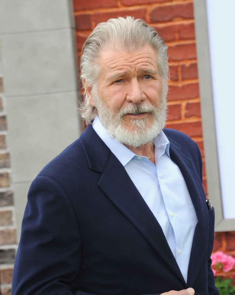 Harrison Ford asiste al estreno de "La vida secreta de las mascotas 2" de Universal Pictures celebrado en el Regency Village Theatre | Foto: Getty Images