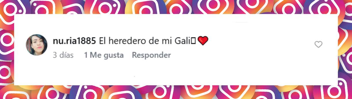 Comentario de una usuaria | Fuente: Instagram/galileamontijo