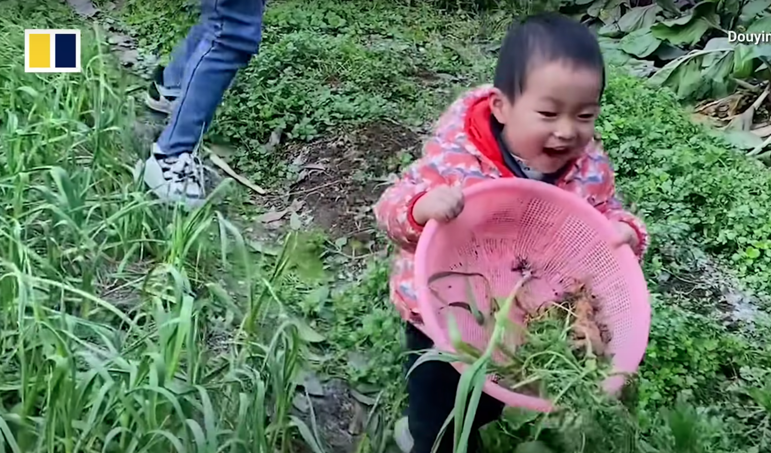 Pomelo ayuda a su madre a elegir verduras. | Foto: Youtube.com/South China Morning Post