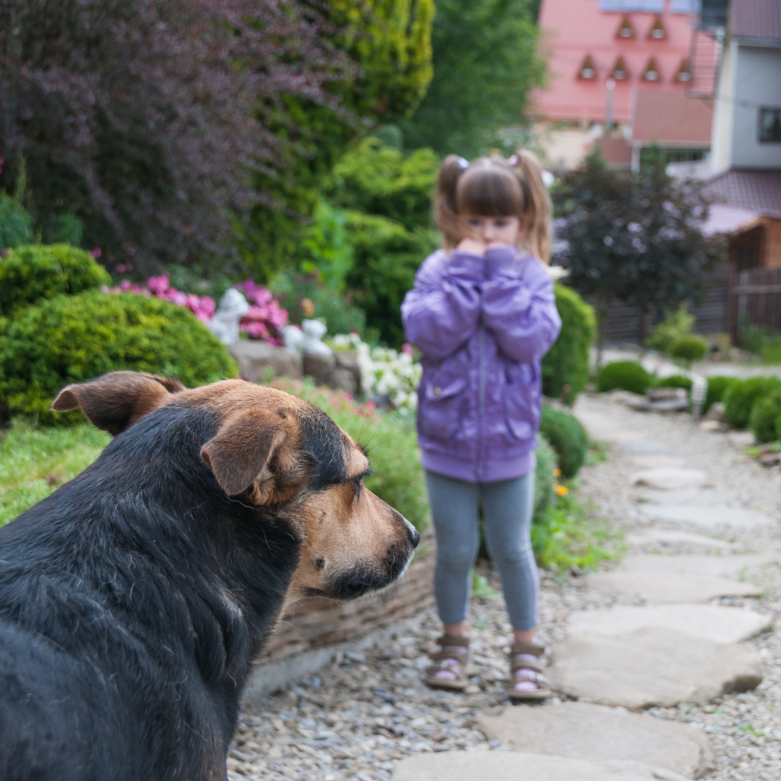 Niña asustada por un perro. | Foto: Shutterstock