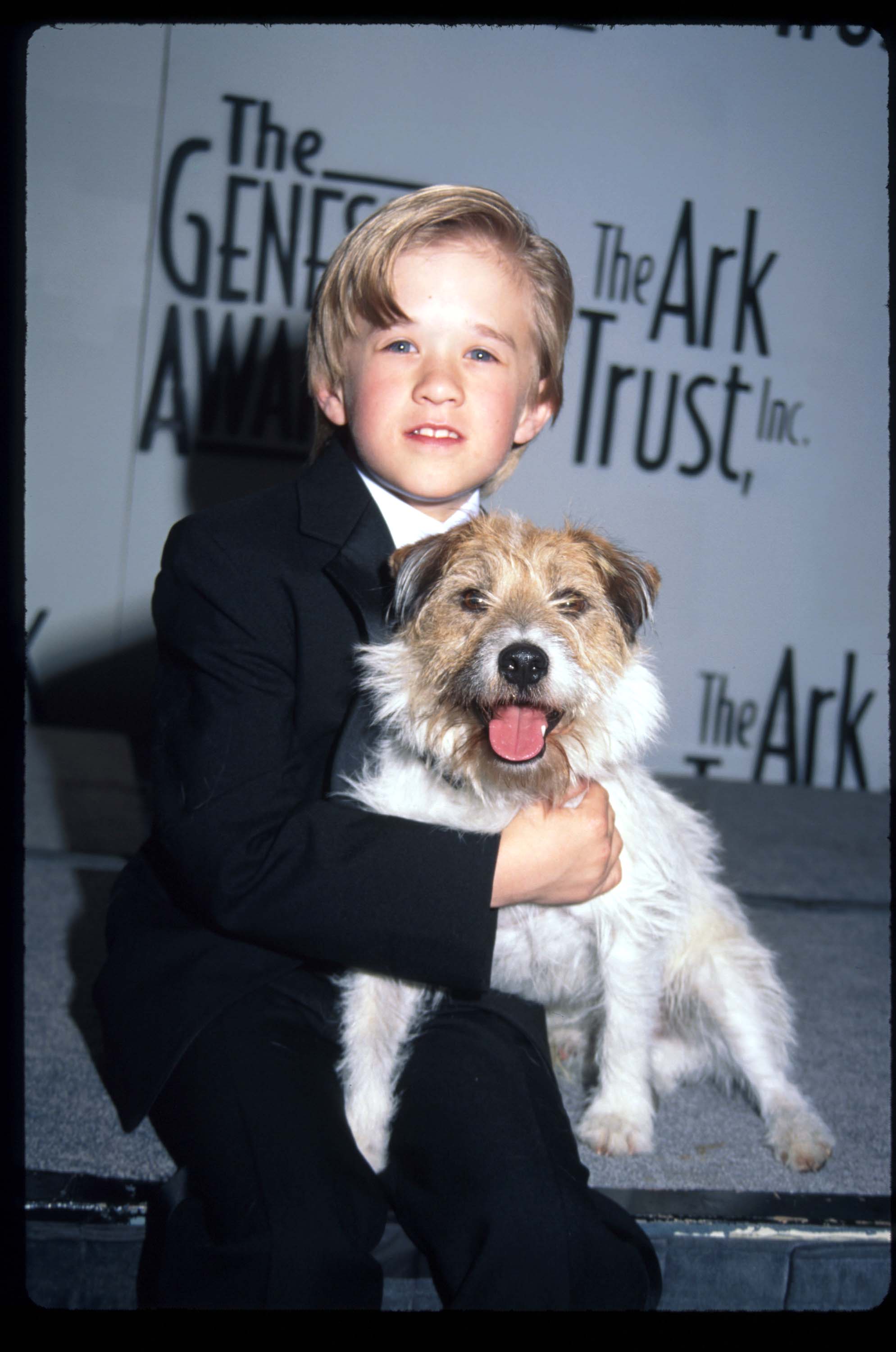 Haley Osment sostiene al perro Sparky en los Premios Génesis el 5 de abril de 1997 en Los Ángeles, California. | Fuente: Getty Images