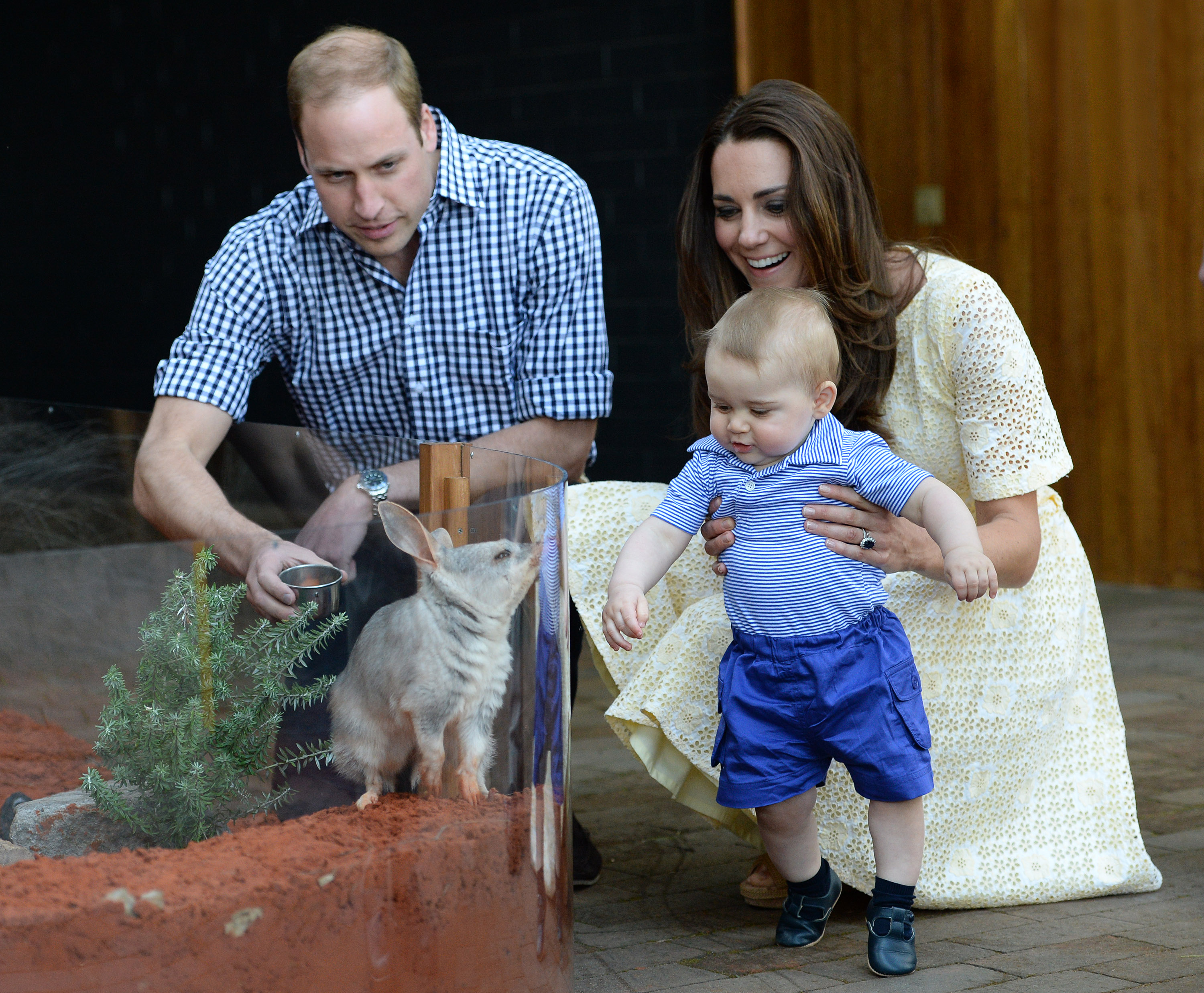 Menos de un año después, George acompañó a William y Catherine en su primer viaje oficial al extranjero con su hijo, que incluyó una visita al zoológico Taronga de Sídney el 20 de abril. El encuentro del pequeño príncipe con un bilby llamado George se convirtió en uno de los primeros momentos públicos de una infancia cada vez más documentada junto a sus padres.