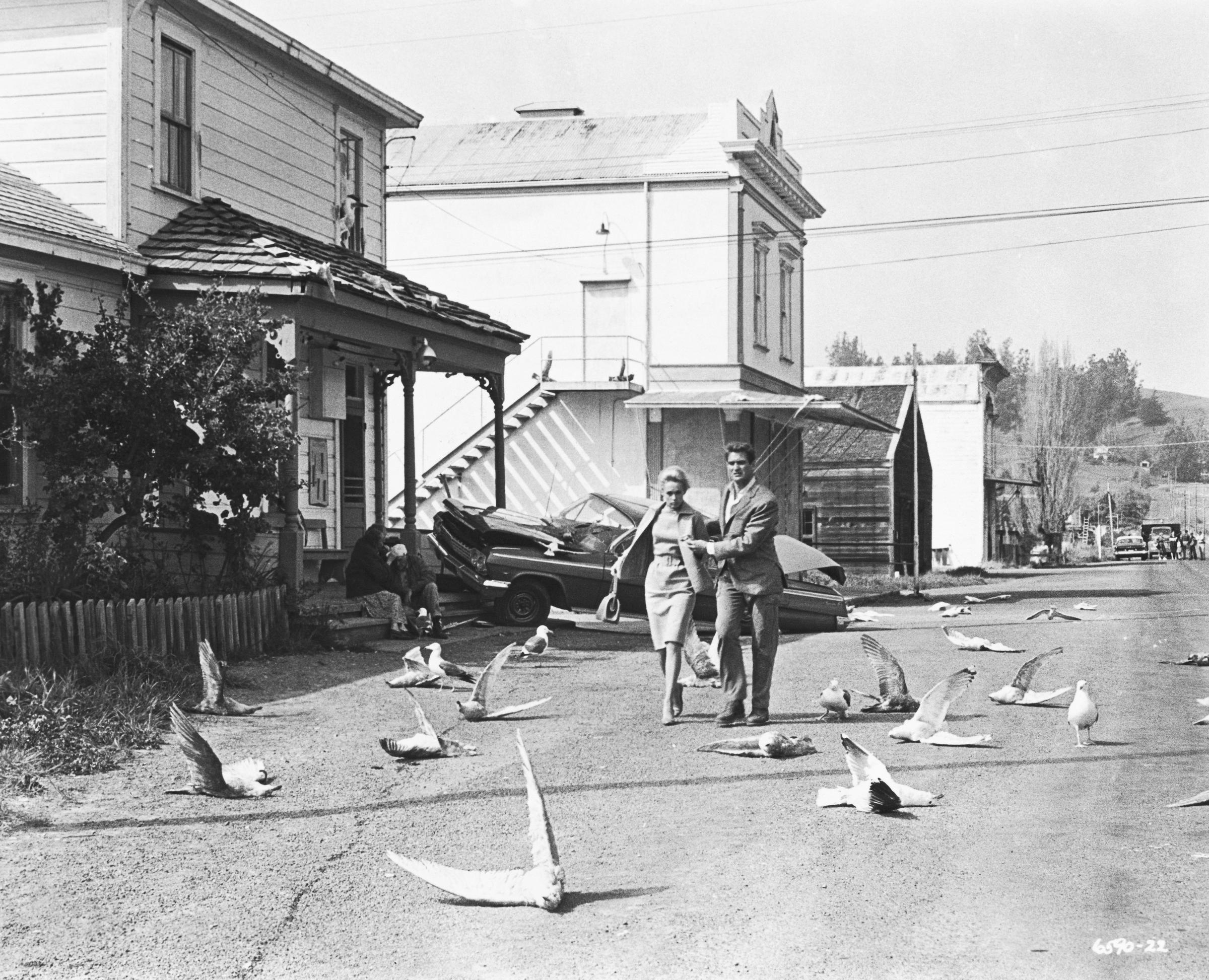 Rod Taylor y Tippi Hedren caminan entre gaviotas muertas en una escena de "The Birds" en 1963. | Fuente: Getty Images