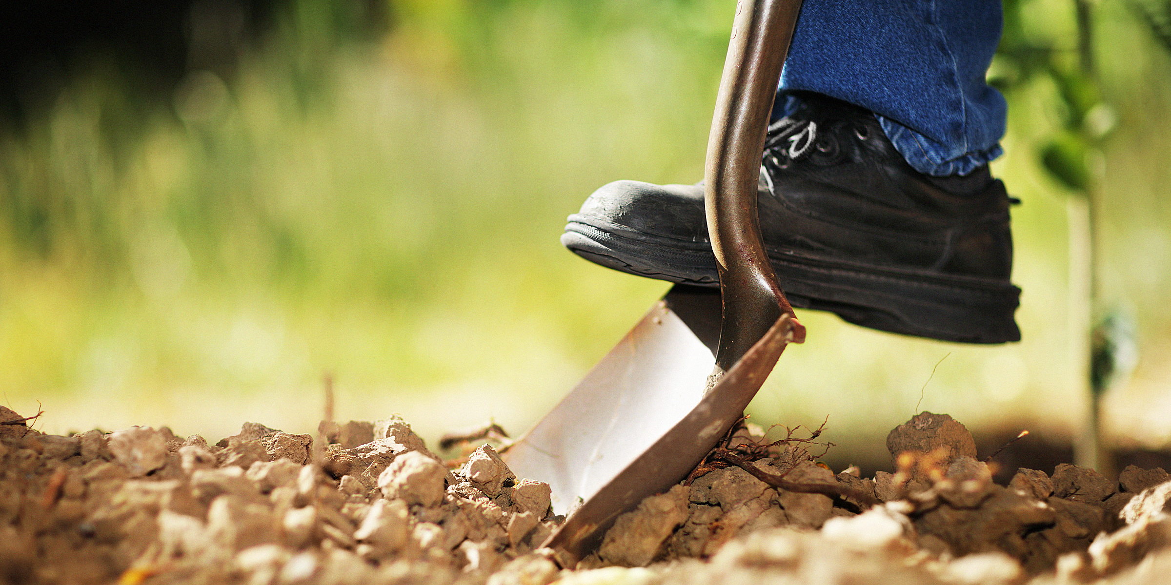 Persona cavando la tierra | Foto: Shutterstock
