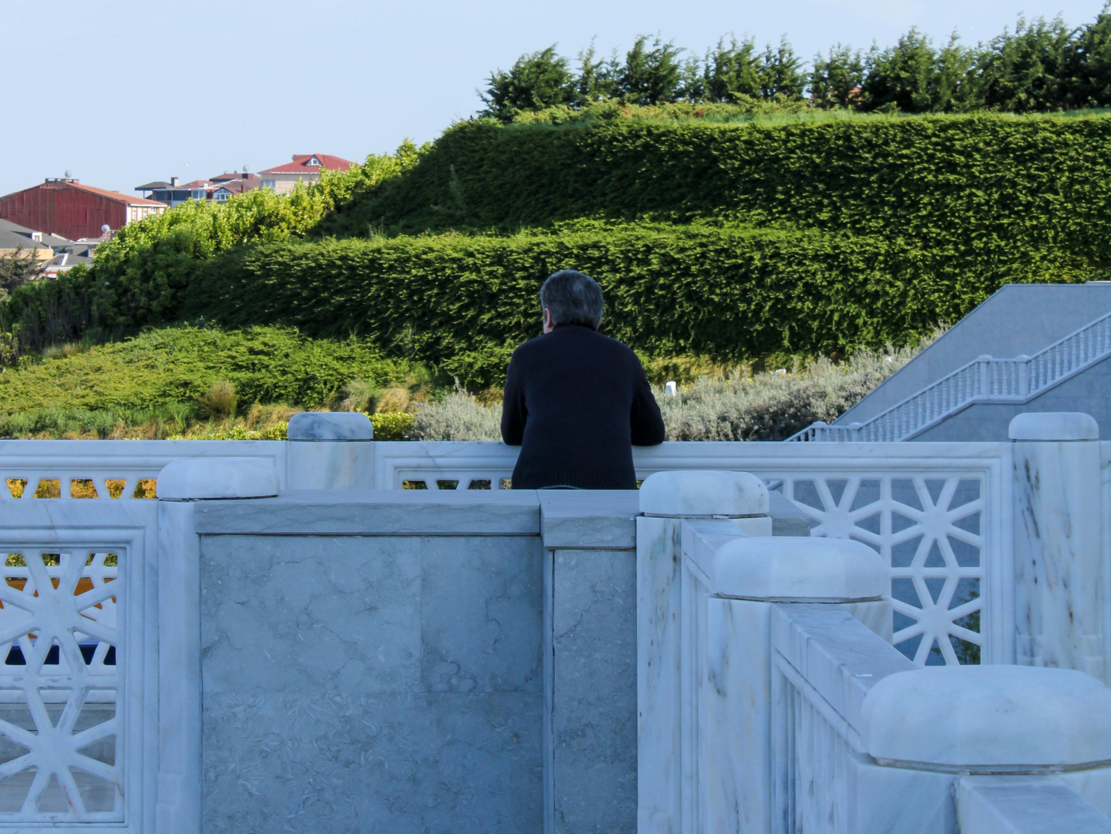 Un hombre mirando por encima del muro de un jardín | Fuente: Pexels