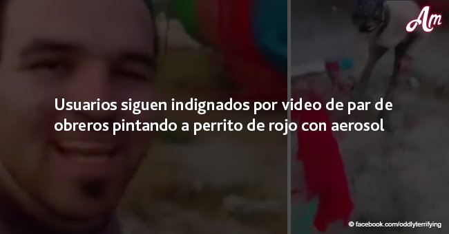 Usuarios siguen indignados por video de par de obreros pintando a perrito de rojo con aerosol