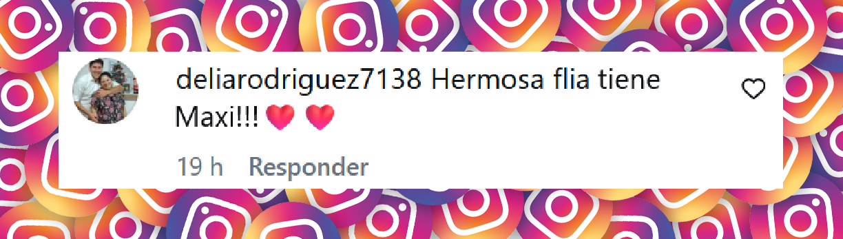 Comentario de una usuaria sobre el video que compartió Maxi López de su pareja Daniela y su hija Elle en el jardín de su casa de Suiza | Fuente: Instagram/revista_pronto