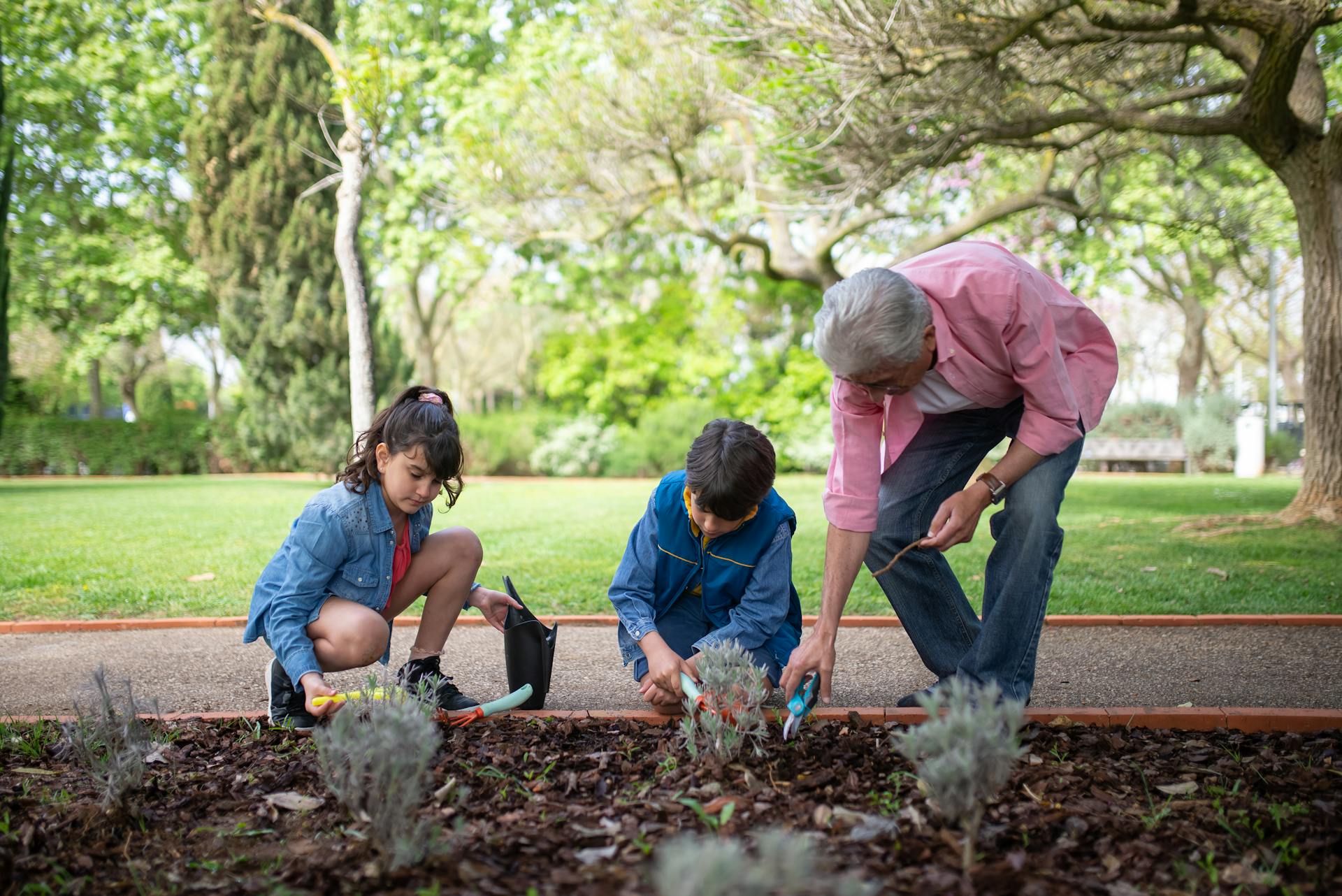 Hombre y dos niños plantando en un jardín | Foto: Pexels