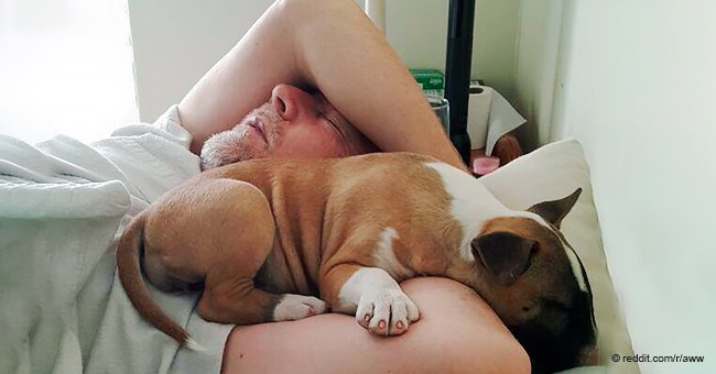 Divertidas fotos de papás que se enojaron al ver mascotas en casa y ahora no pueden vivir sin ellas