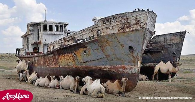 El mar Aral, cuarto lago más grande del planeta, desaparece