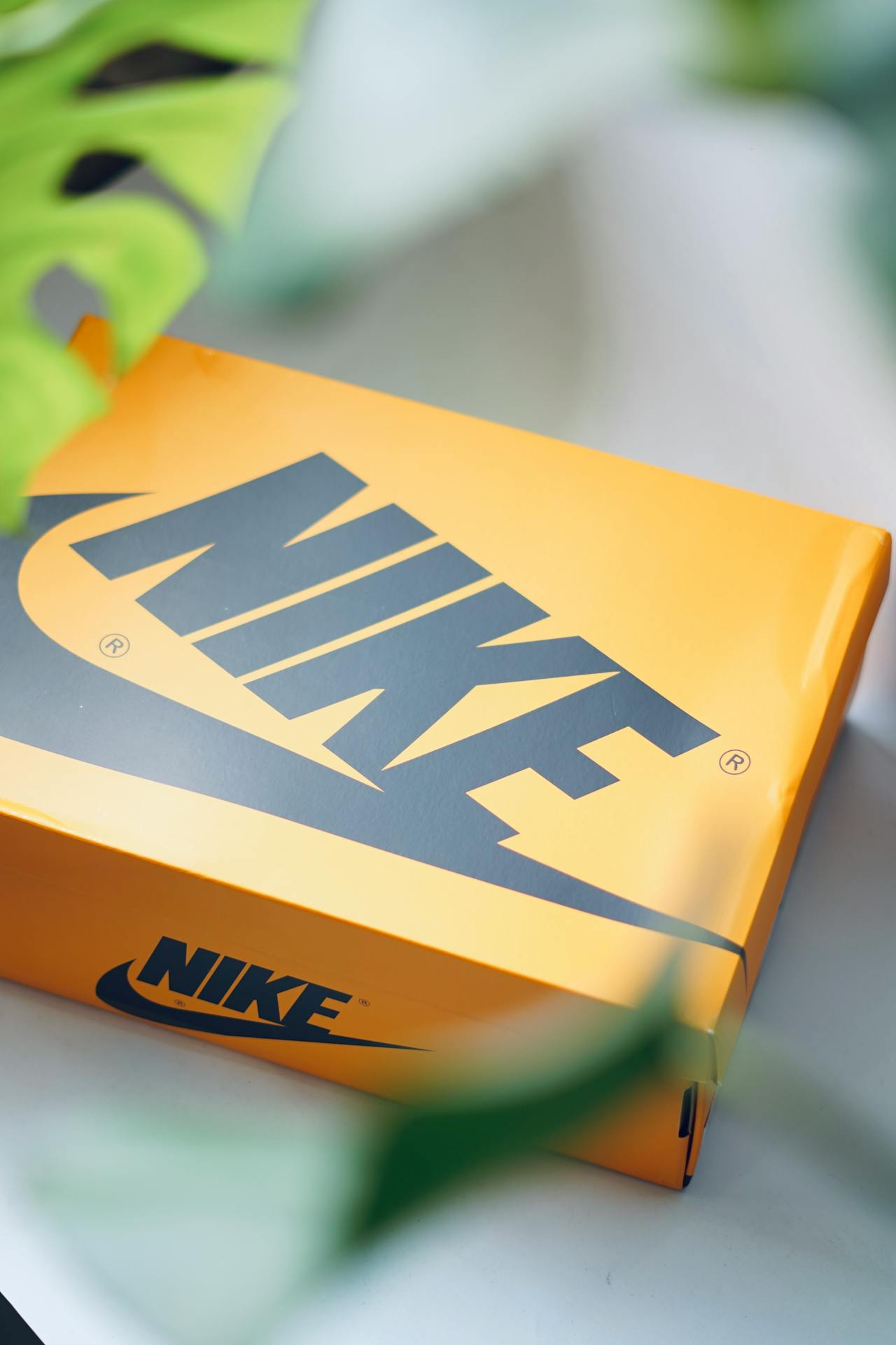 Una caja de zapatos de marca | Fuente: Pexels